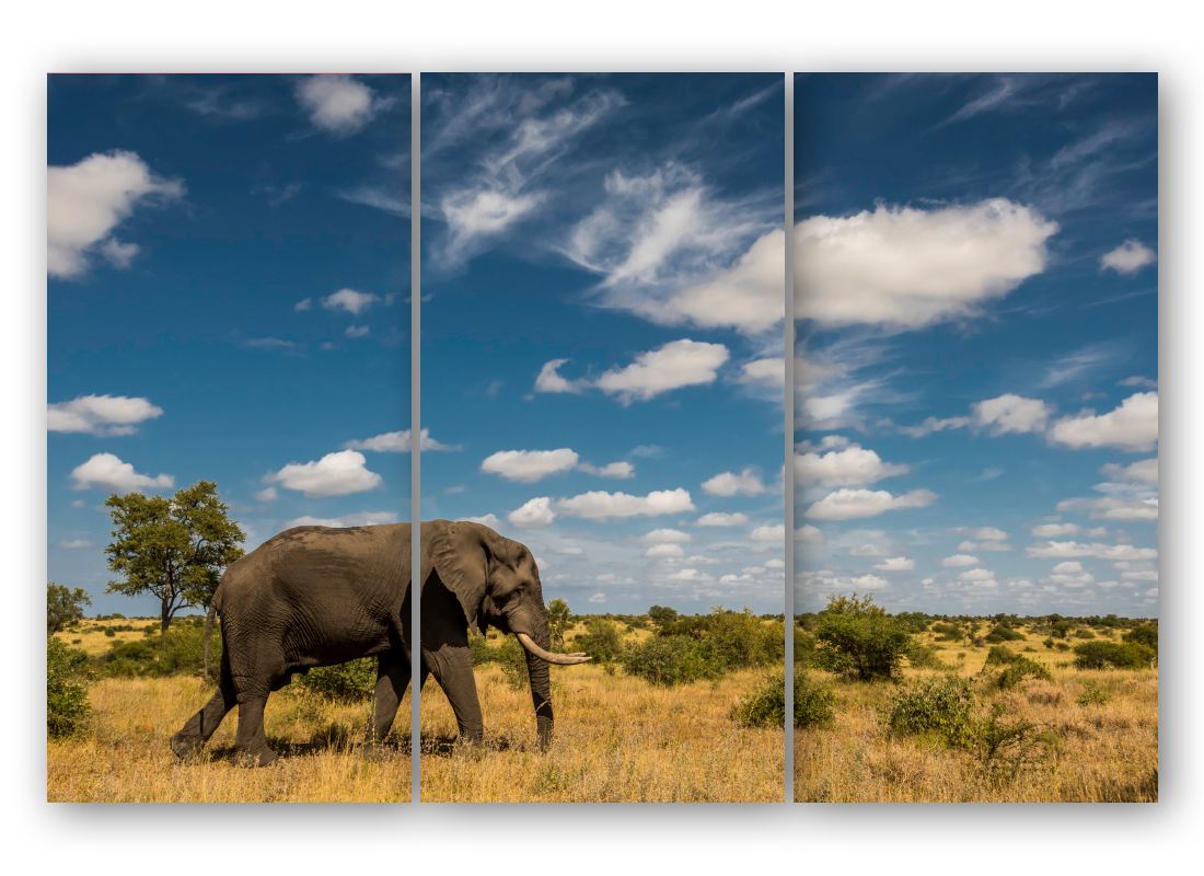 Triptych elephant sky svmrix