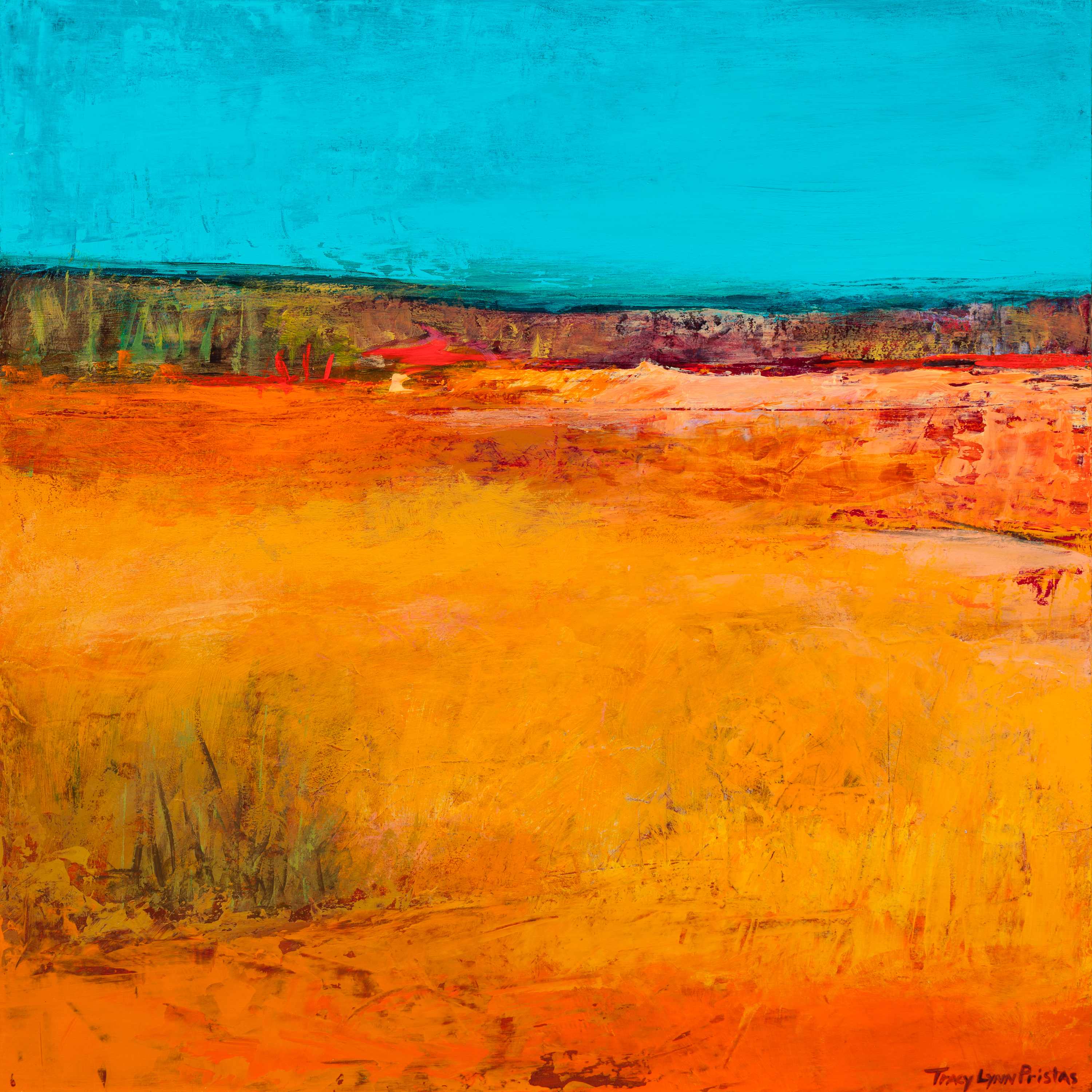 Tracy lynn pristas abstract landscape paintings original playa artist residency zpdktb