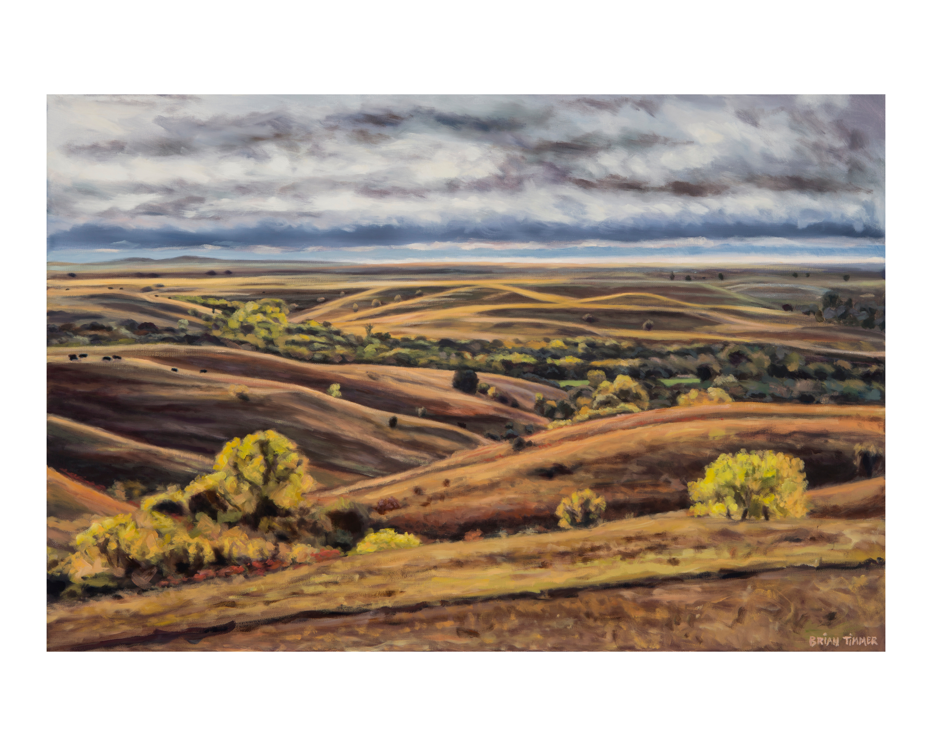 Flint hills x 16x20 enmxu4
