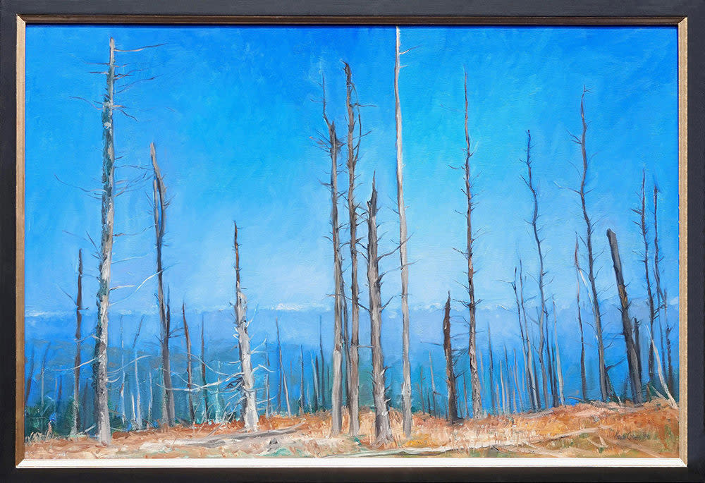 Kevin grass atop mount mitchell framed oil on canvas painting y0u6no