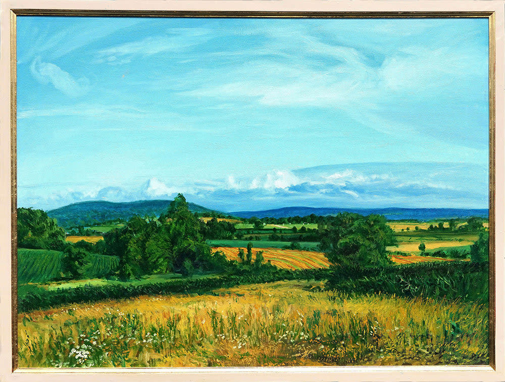 Kevin grass distant ozark foothills framed oil on canvas painting rcch12