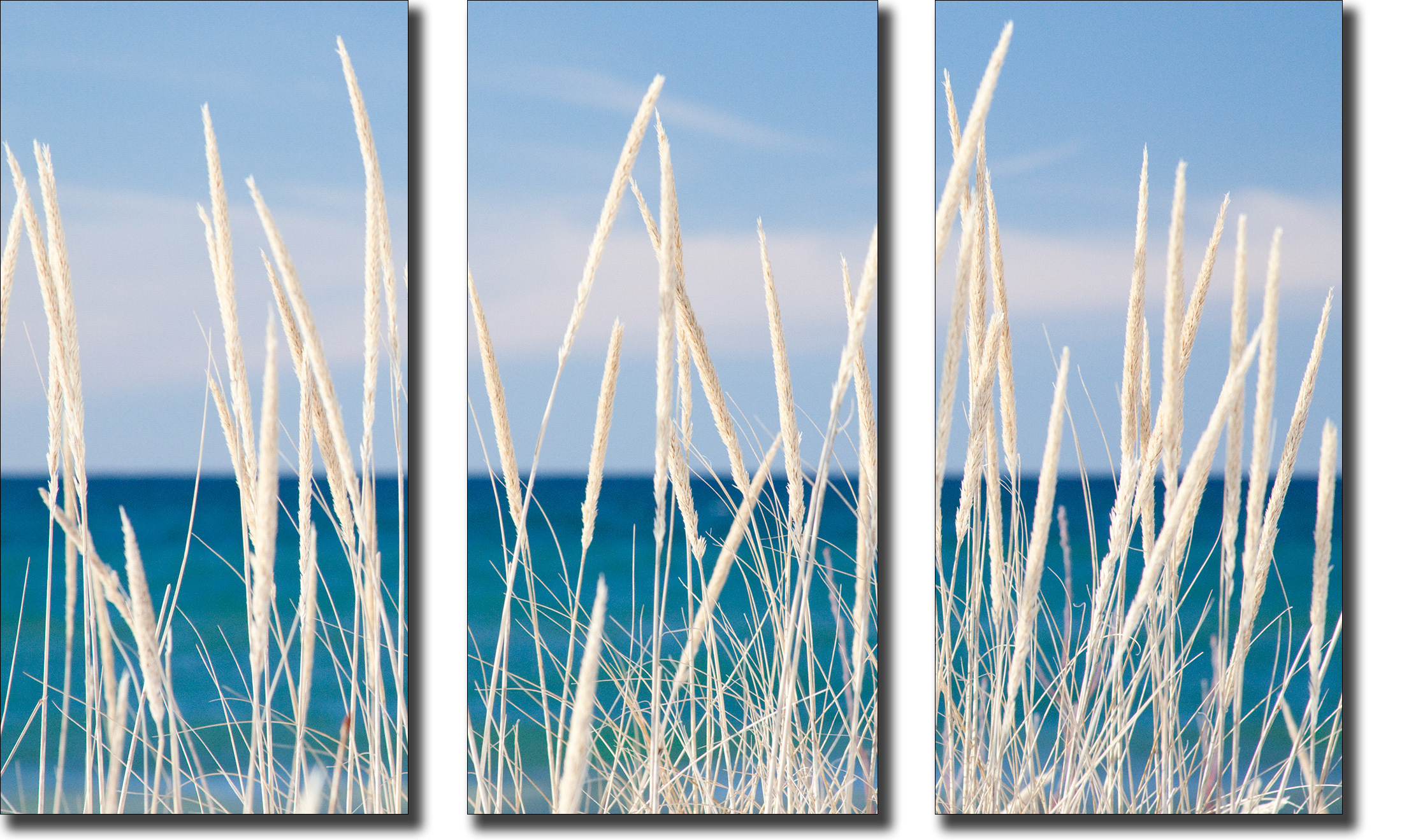 Winter bleached marram grass triptych waeldi