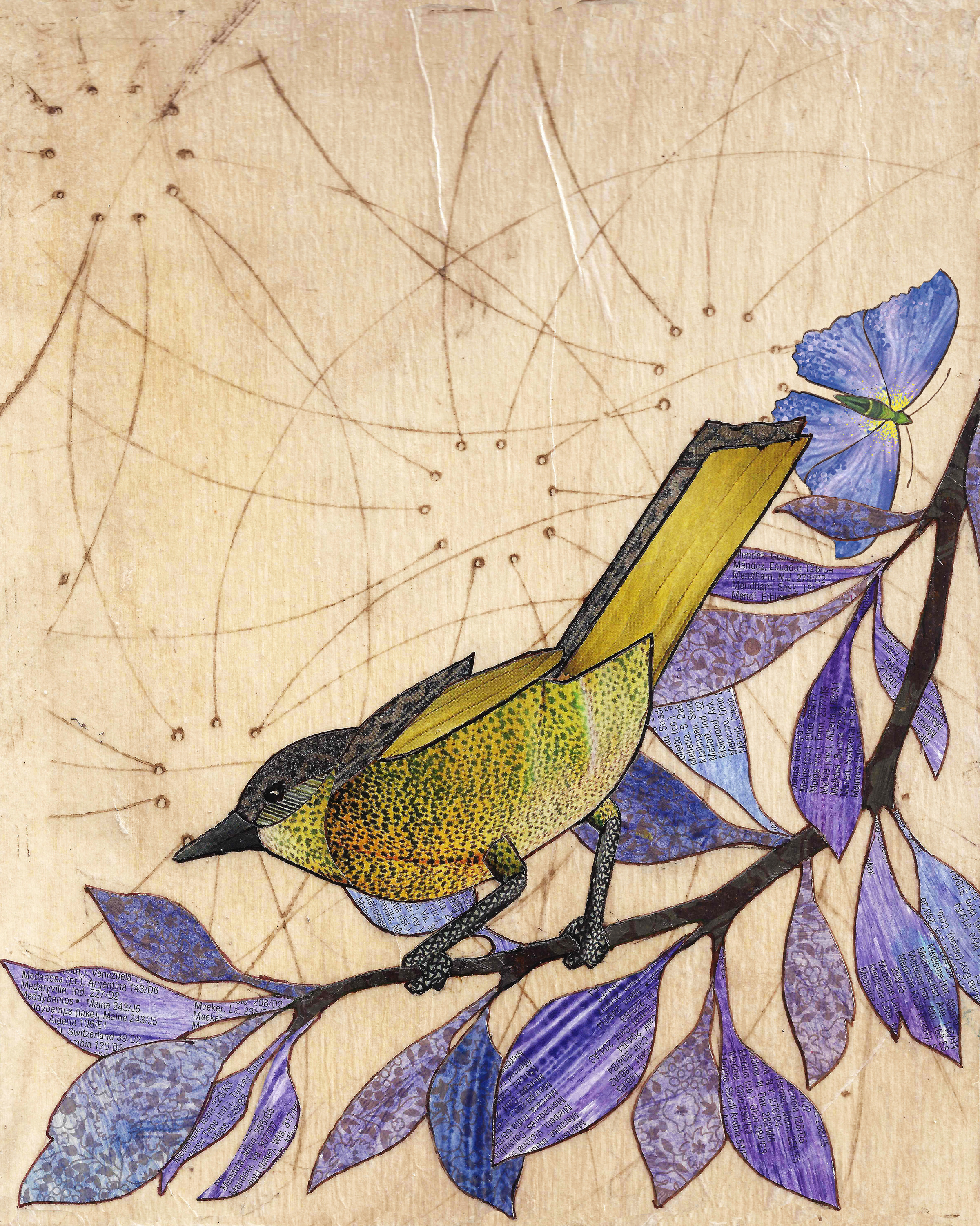 Meadow vale ilgni1
