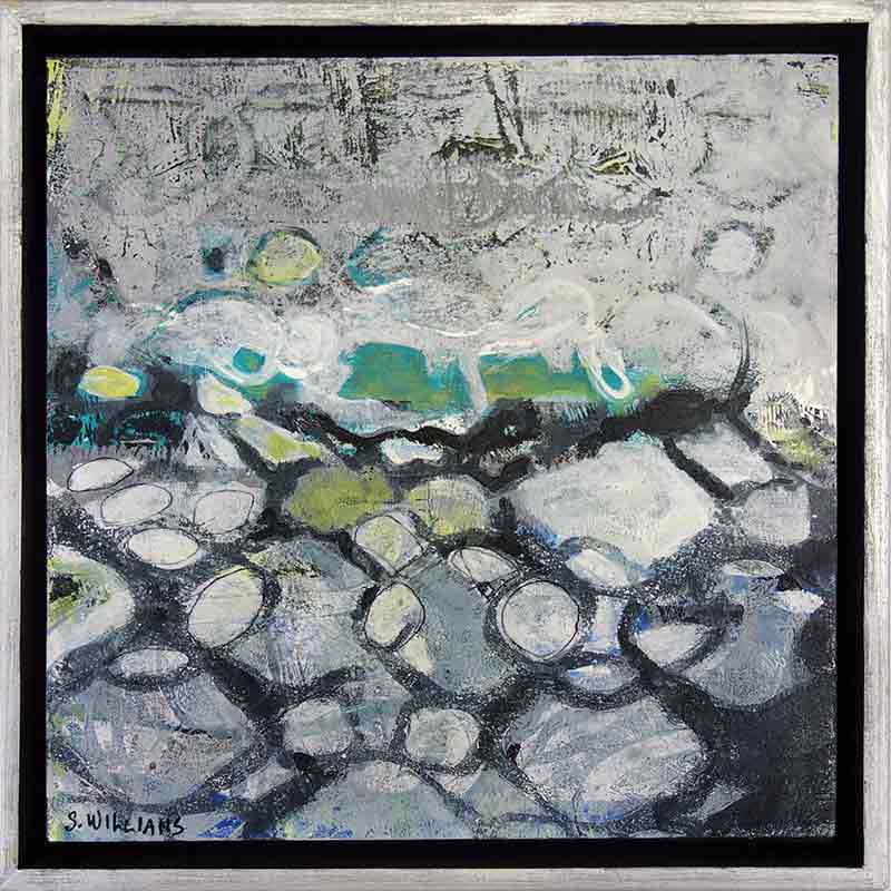 1855 shirley williams chain link fence 9x9 vojkbe
