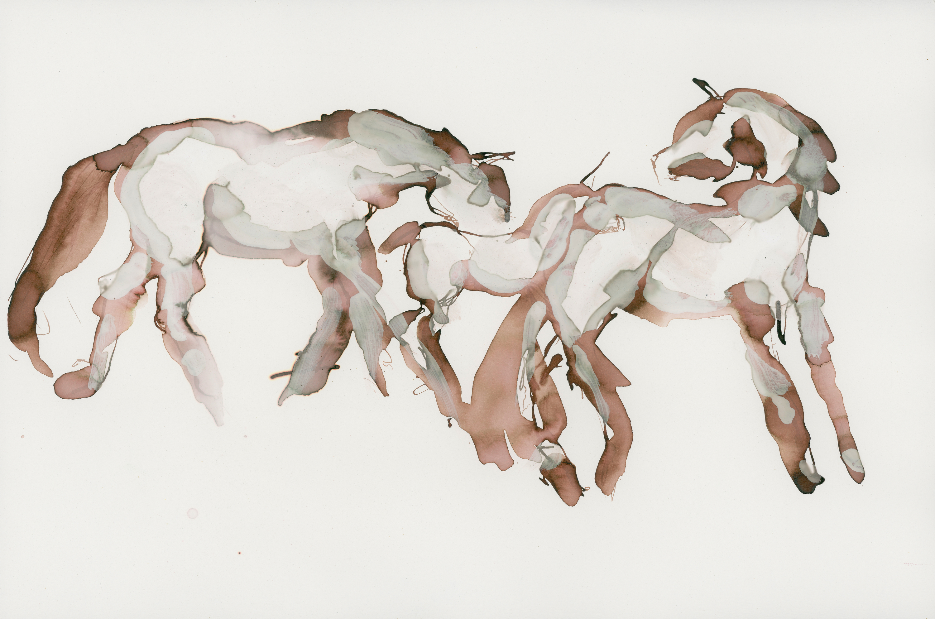 Praire horses ngej6f