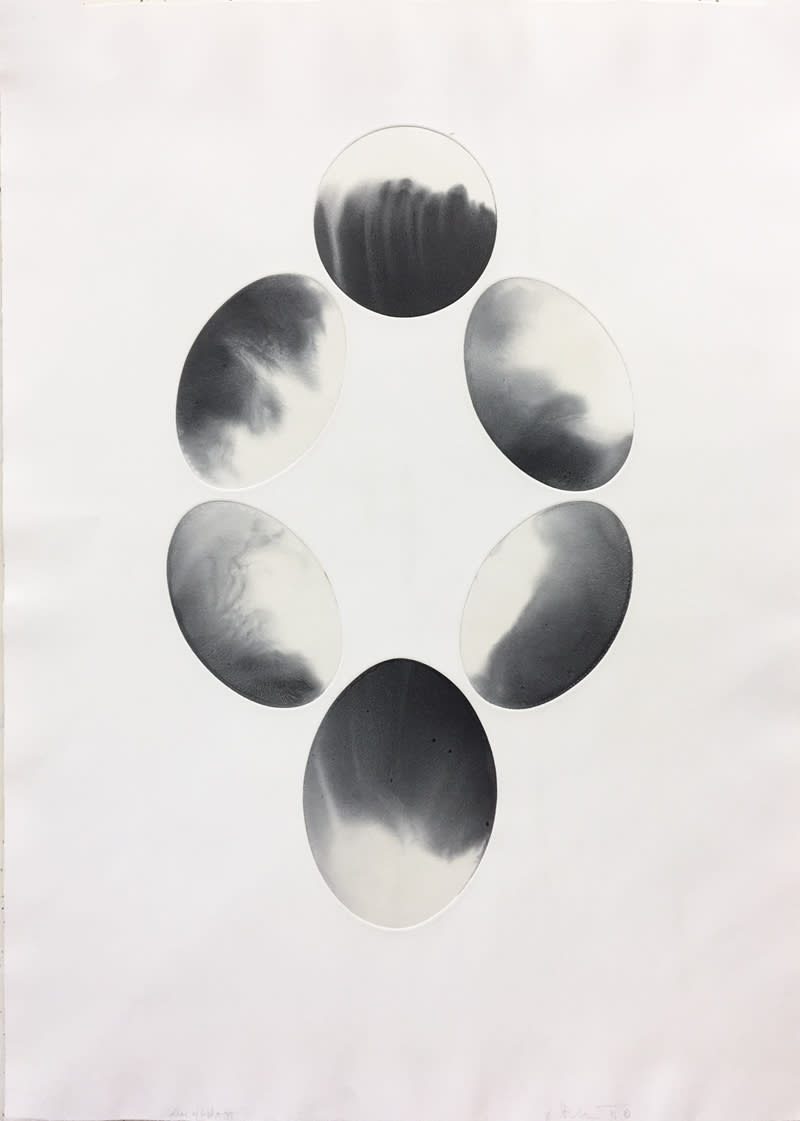 Collaroflight7 tcecoh