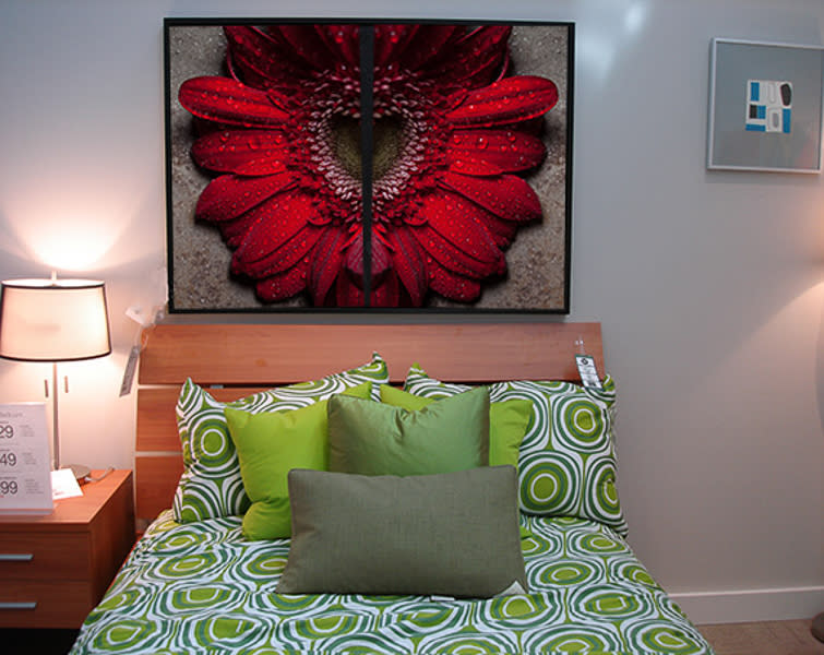 Redflower in bedroom fgobnx