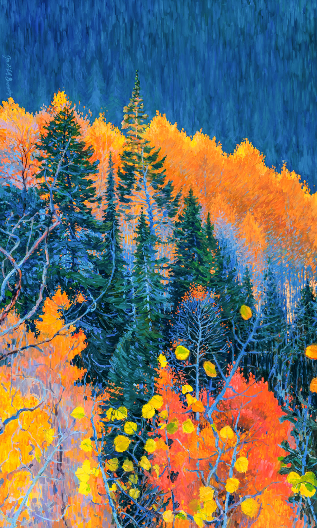 Colorado trees at fall r5pkgk