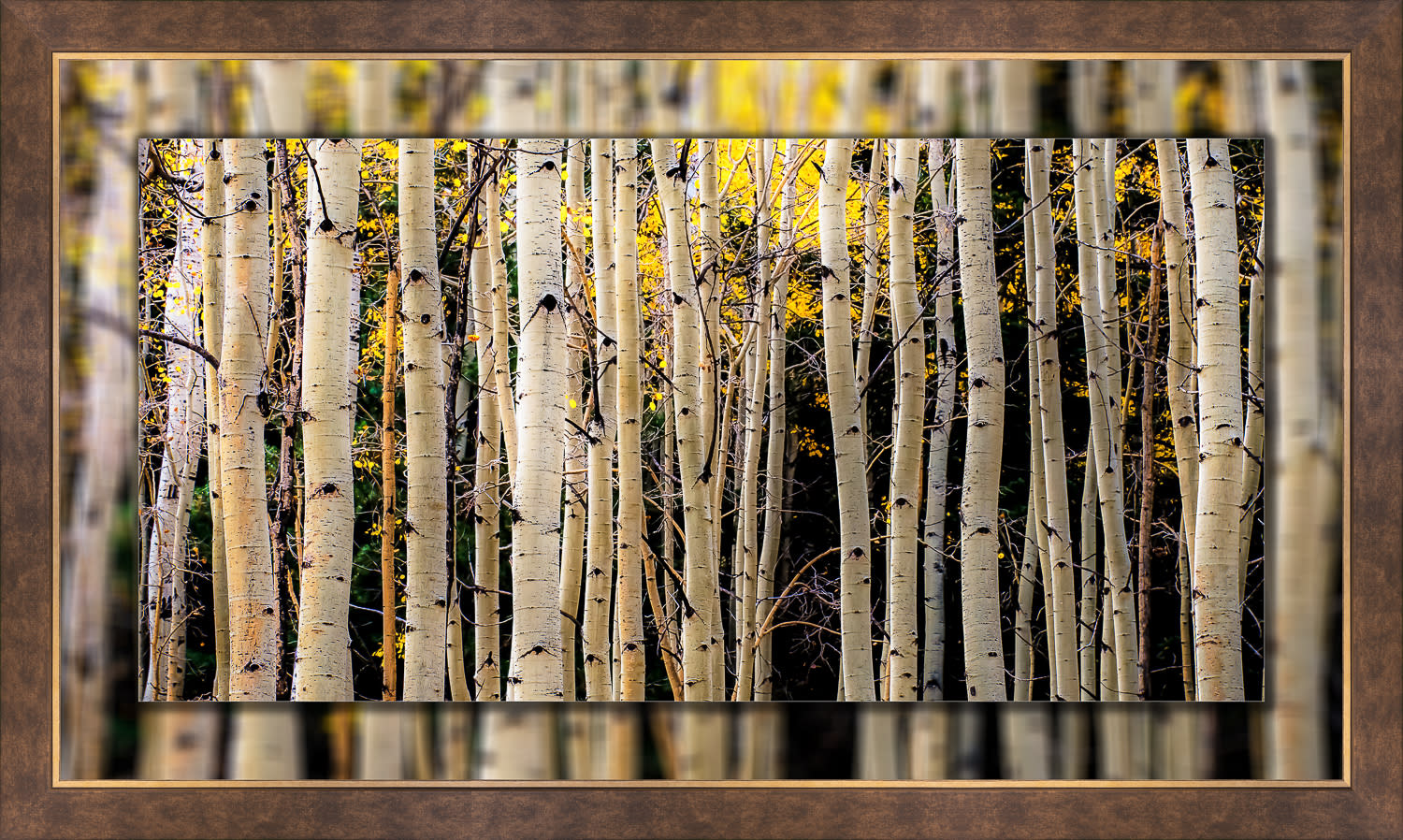 Aspen trunks 20x40 to 26x46 perimeter bronze large njvgqw