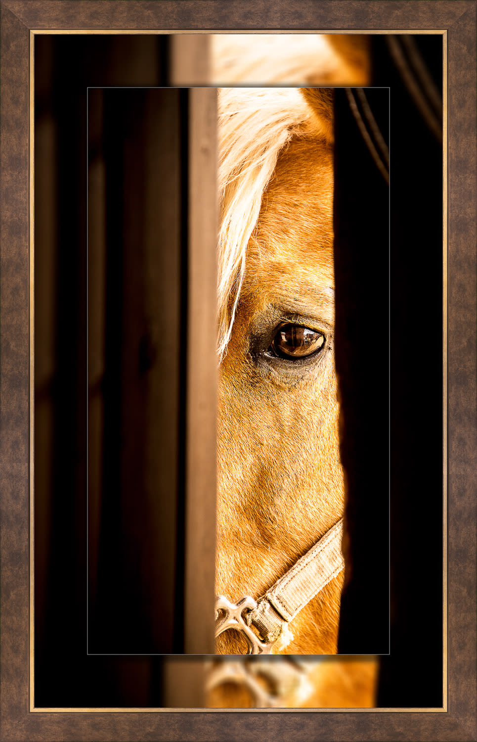 Peek 16x30 to 22x36 perimeter bronze large pdfqzb