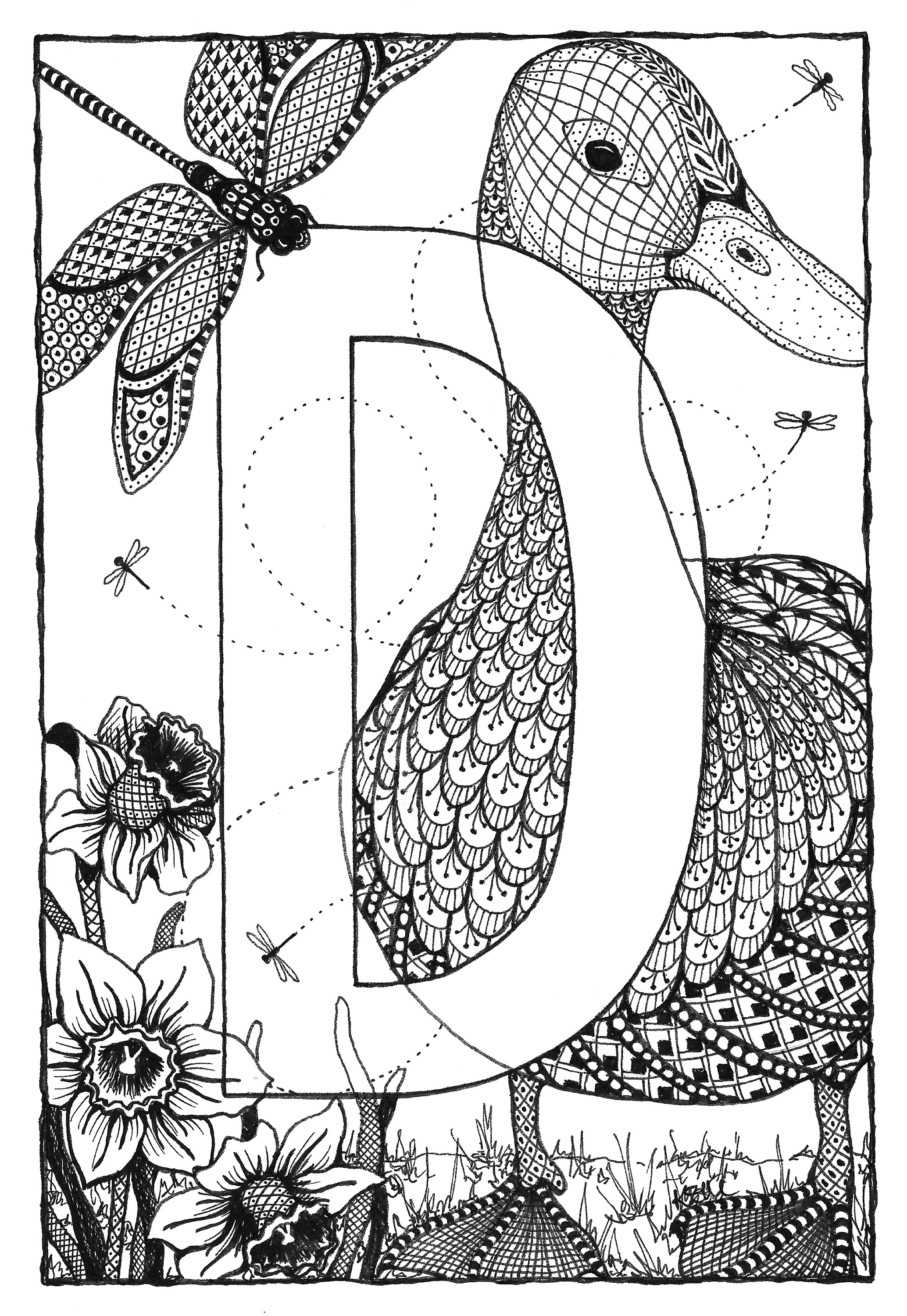 Alphabet  d d5eflc