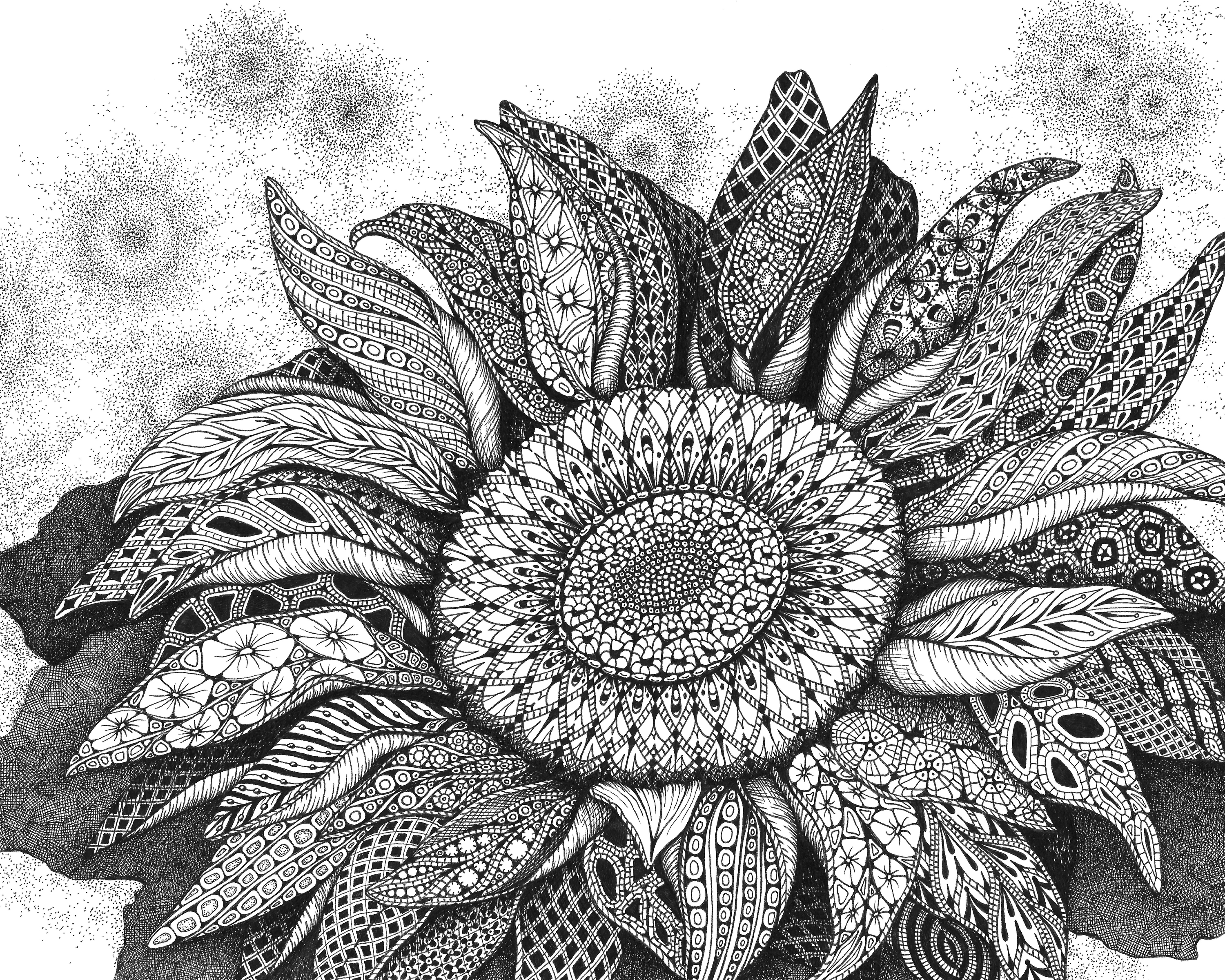 Sunflower song of summer v4gfhf