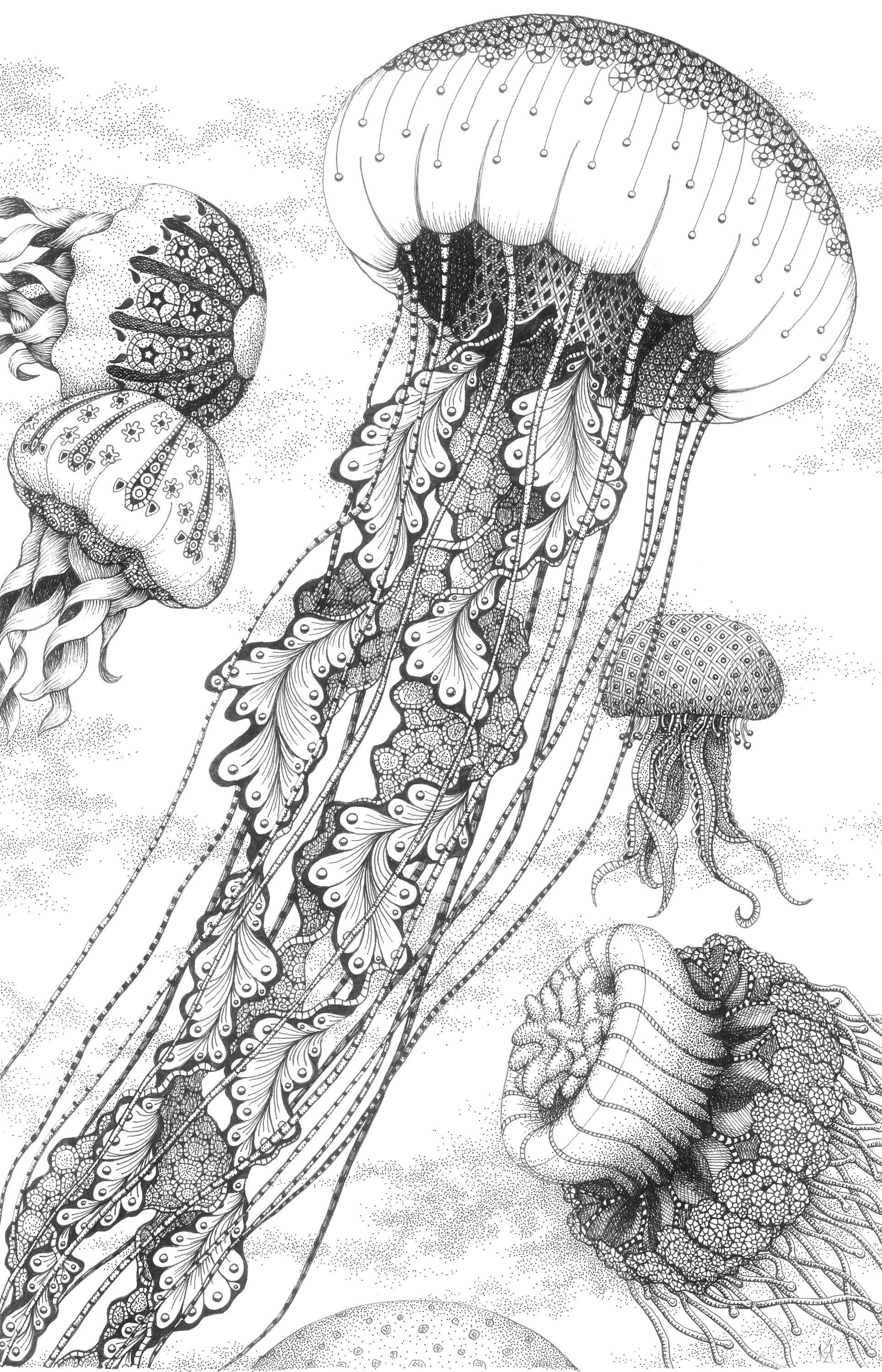 Jellyfish dance c3fuoq