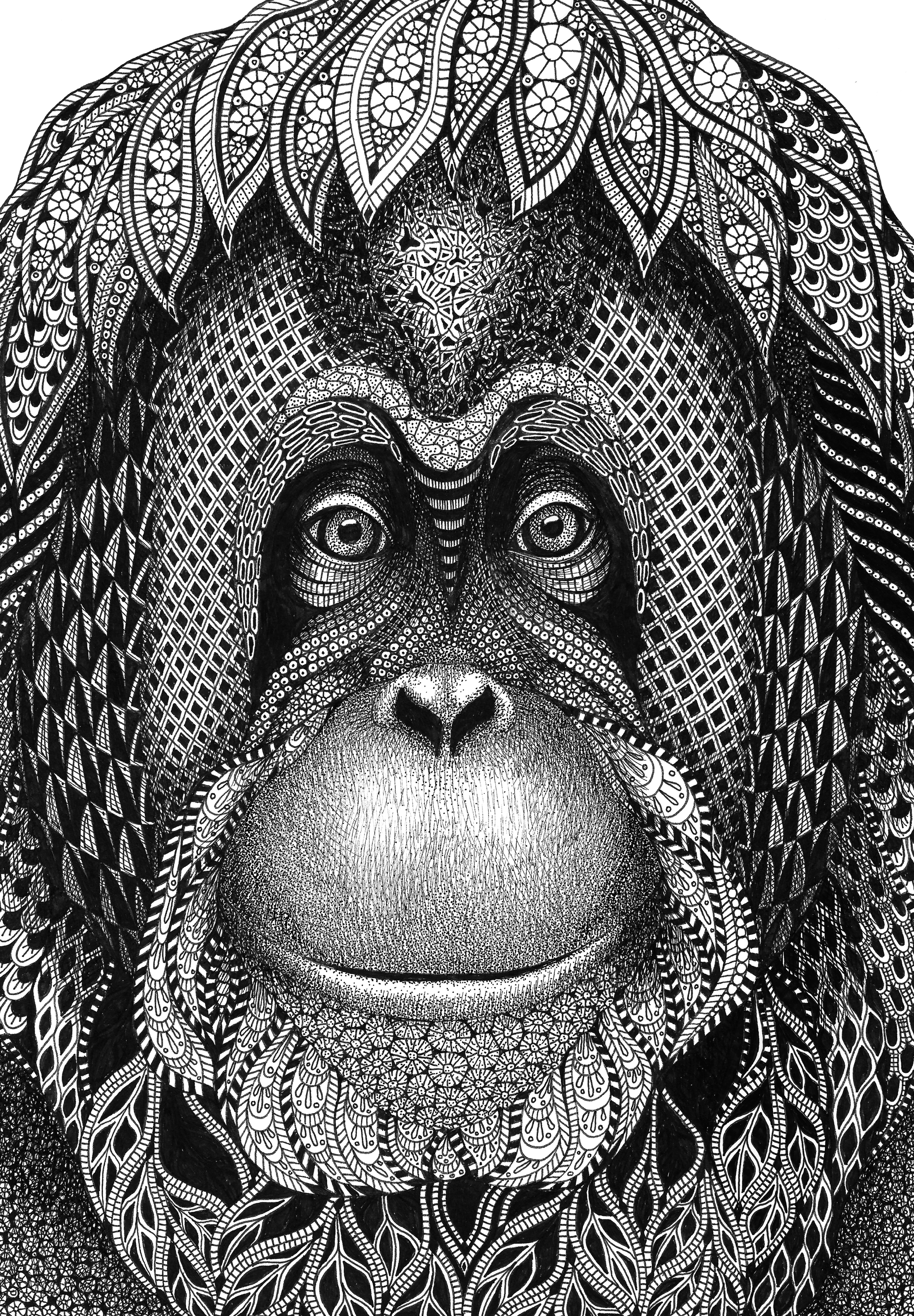 Orangutan  katie cropped tjzpzg