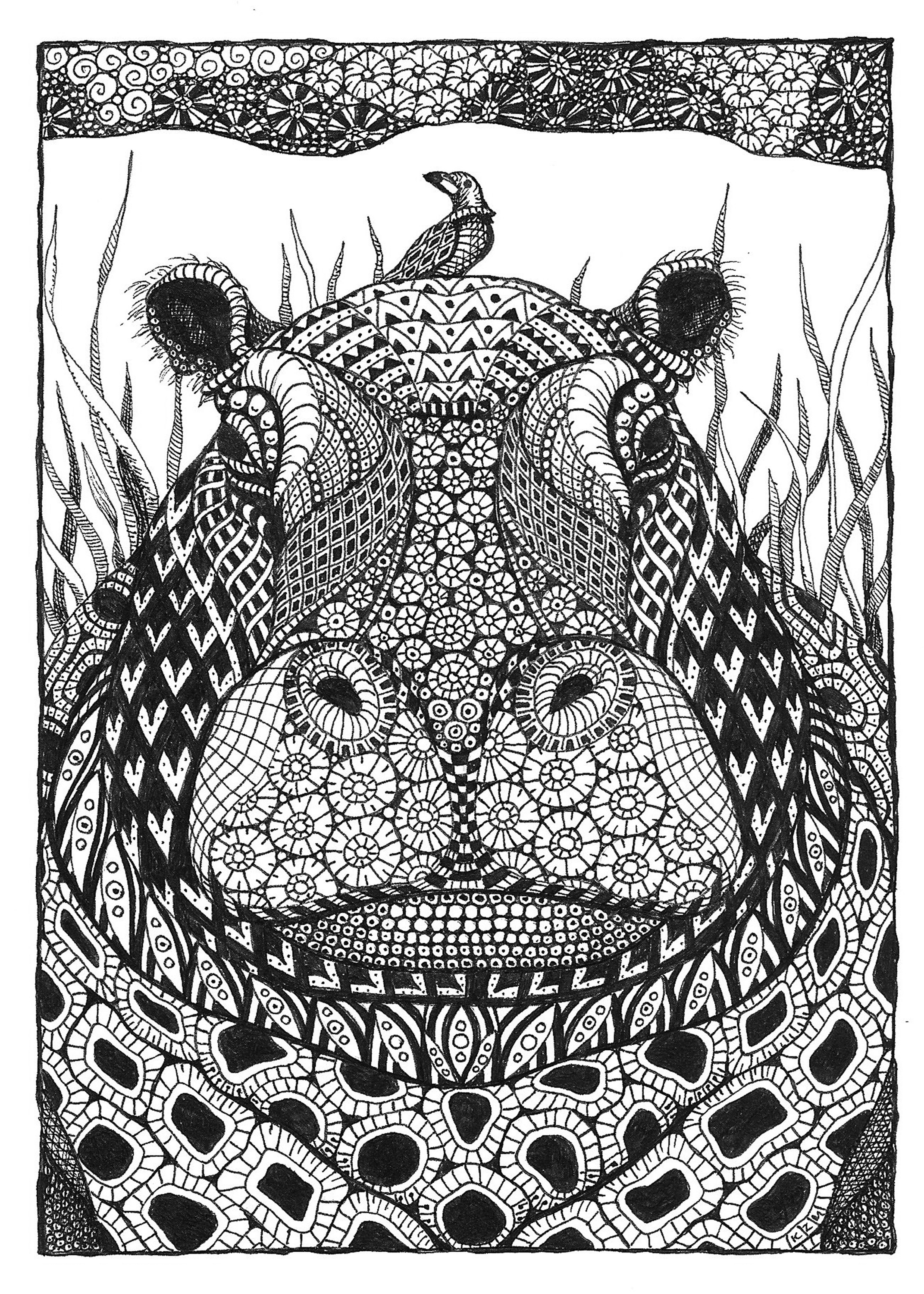 Hippo mntzhr