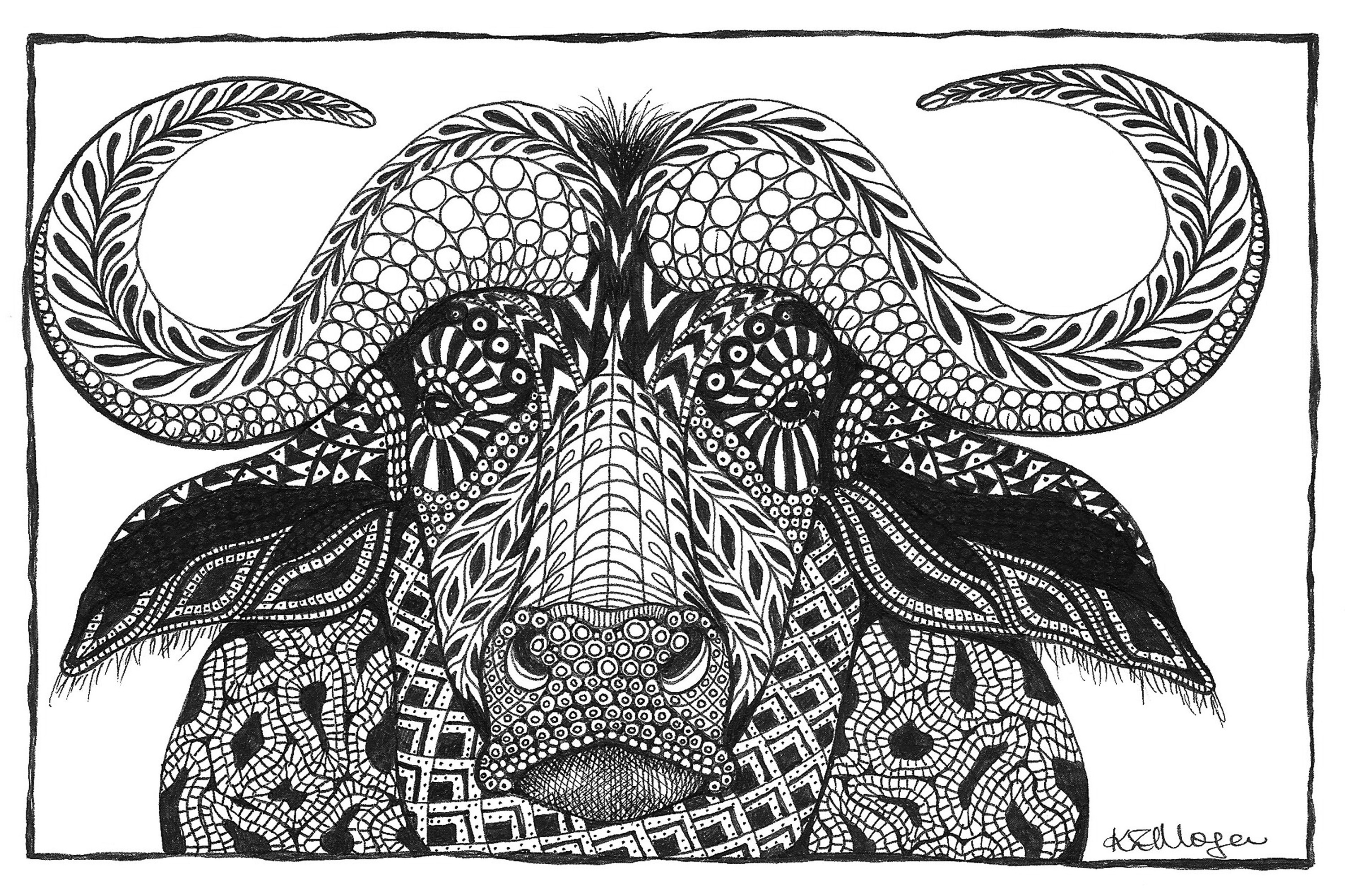 Cape buffalo glujdx