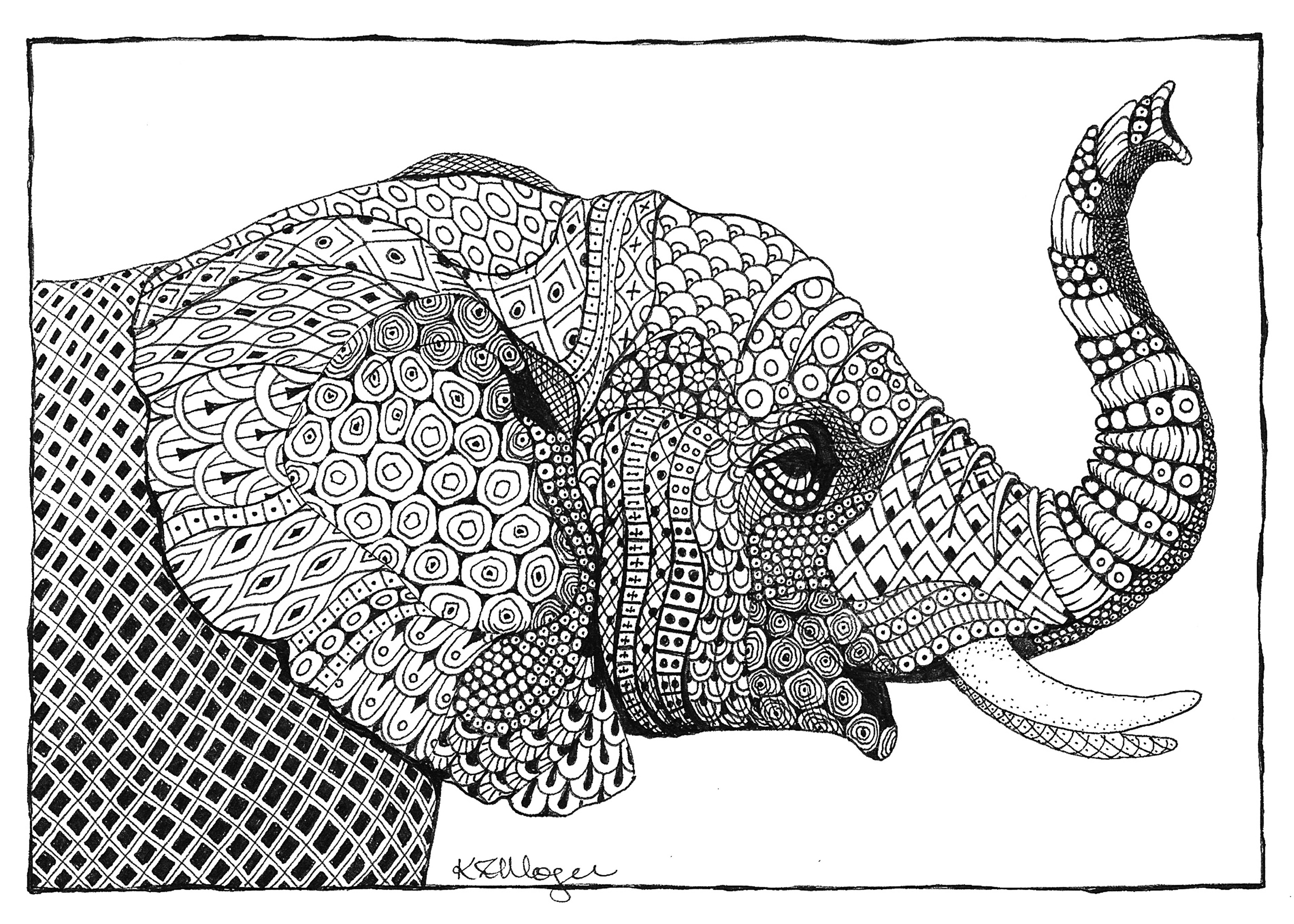 African elephant trumpeter rlvpco