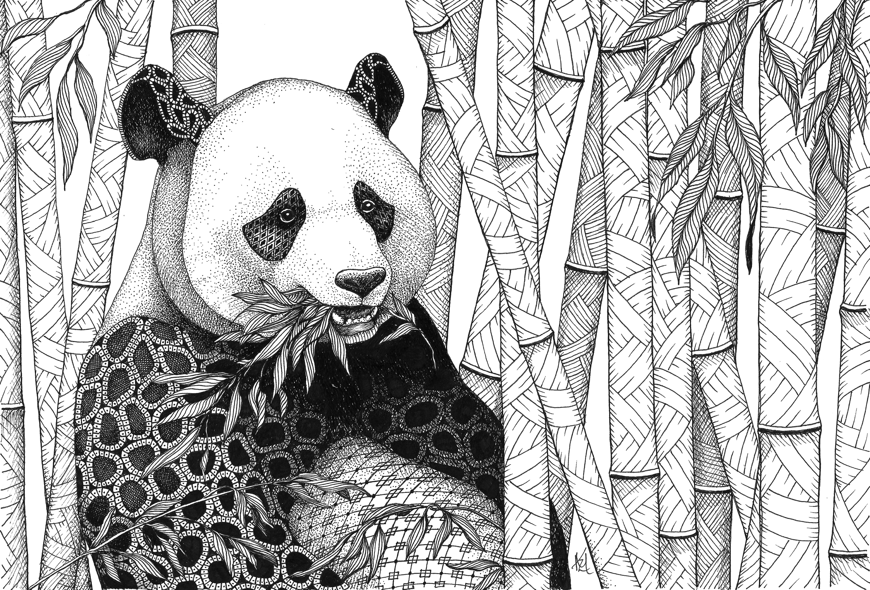 Panda in bamboo tczan5