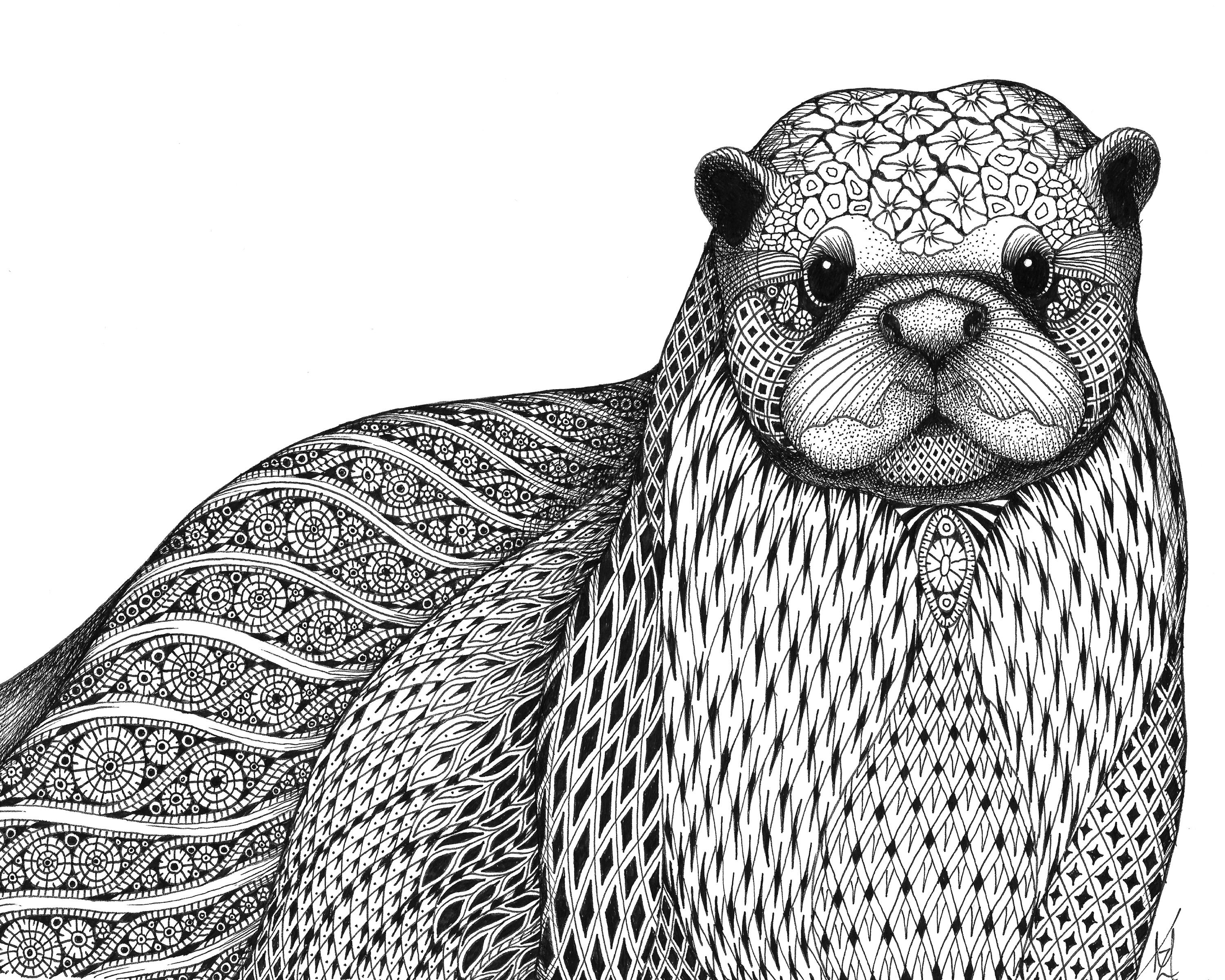 Otter ifipnw