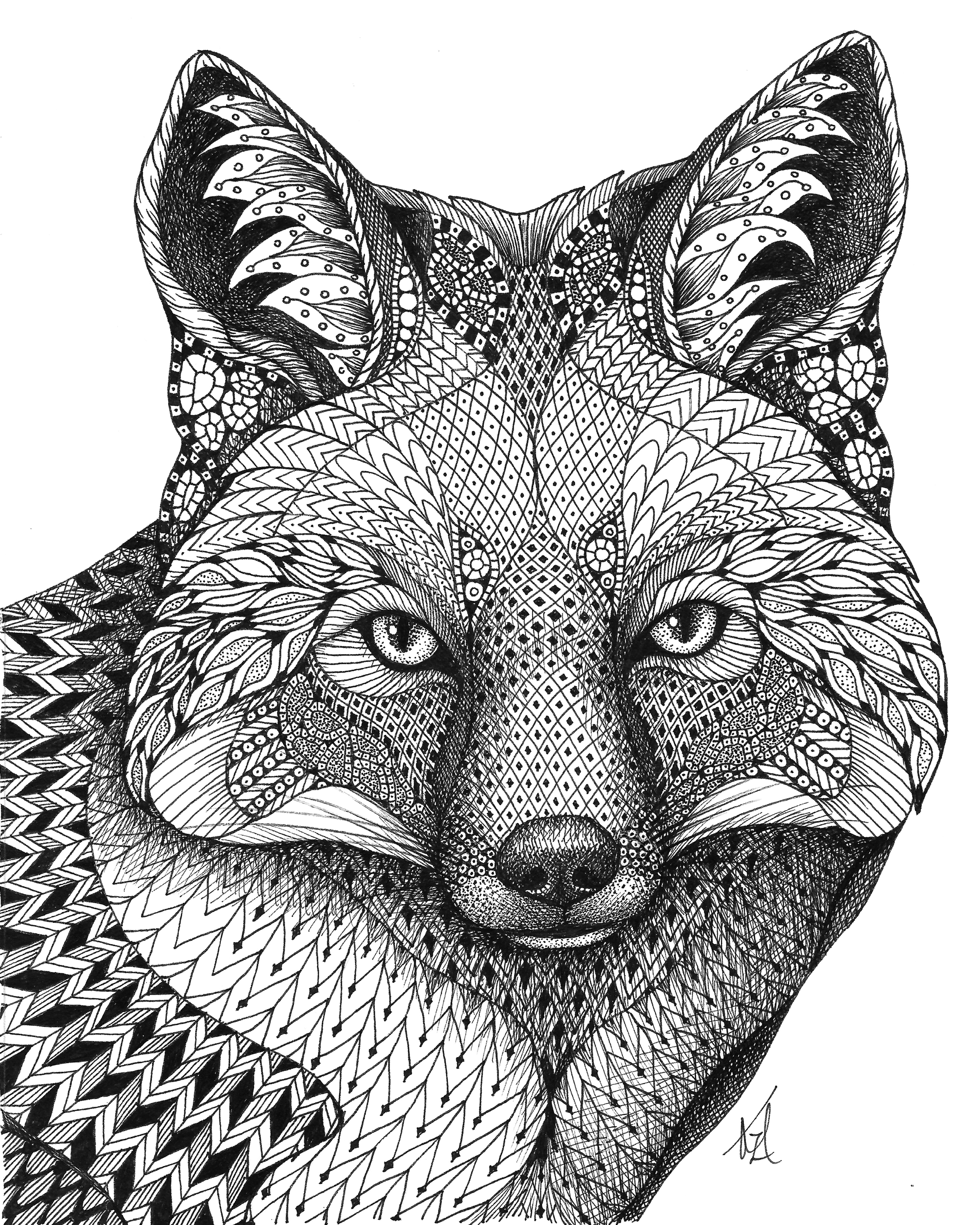 Fox q0zitz