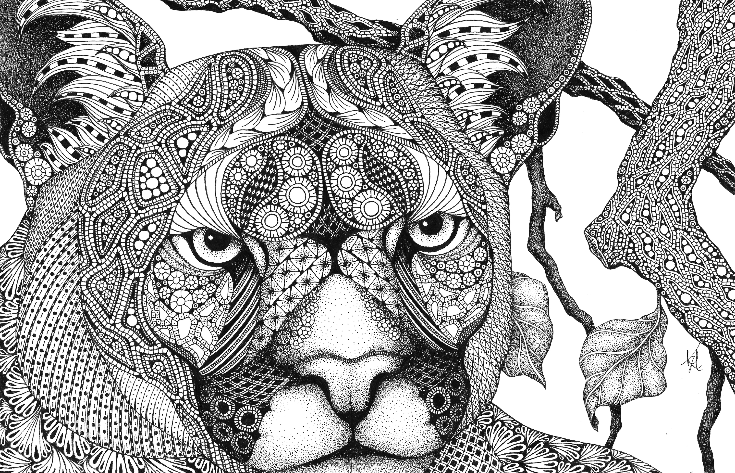 Cougar here kitty kitty cbbgw7