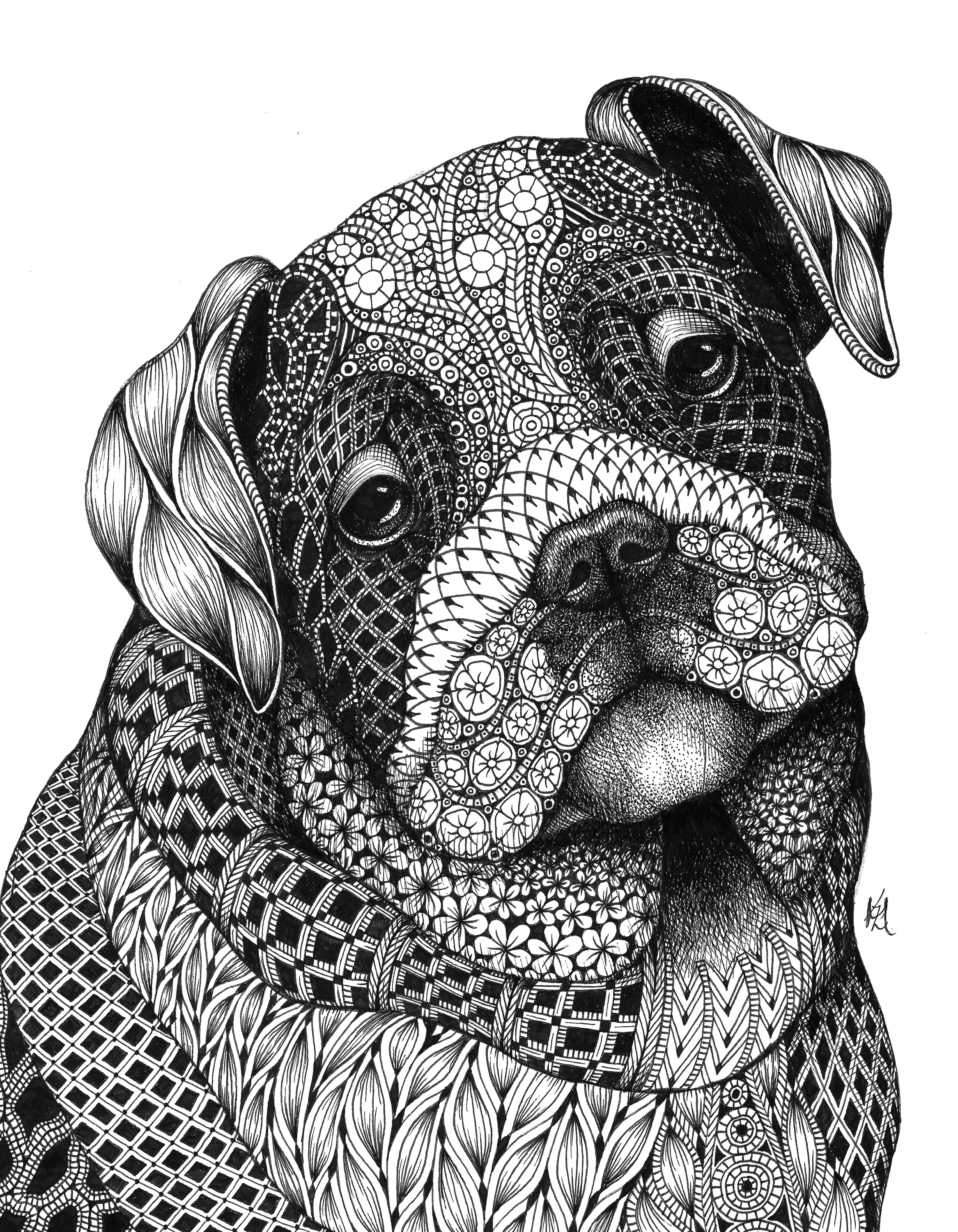 Bulldog pup spt8nr