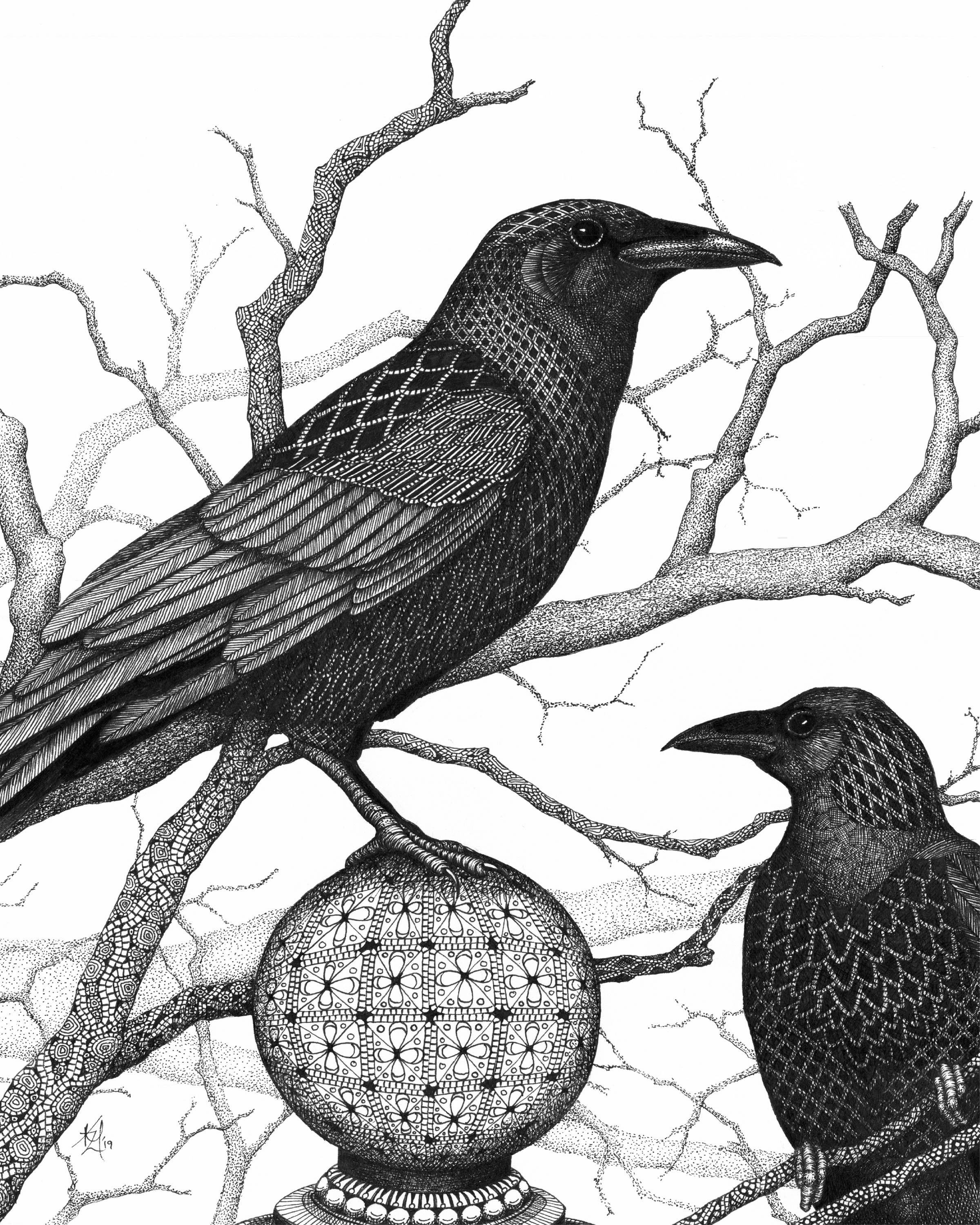 Crows vwkzag