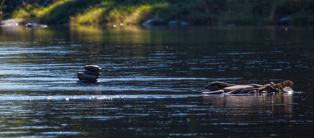 
        <div class='title'>
          ZenDelaware Slider
        </div>
       