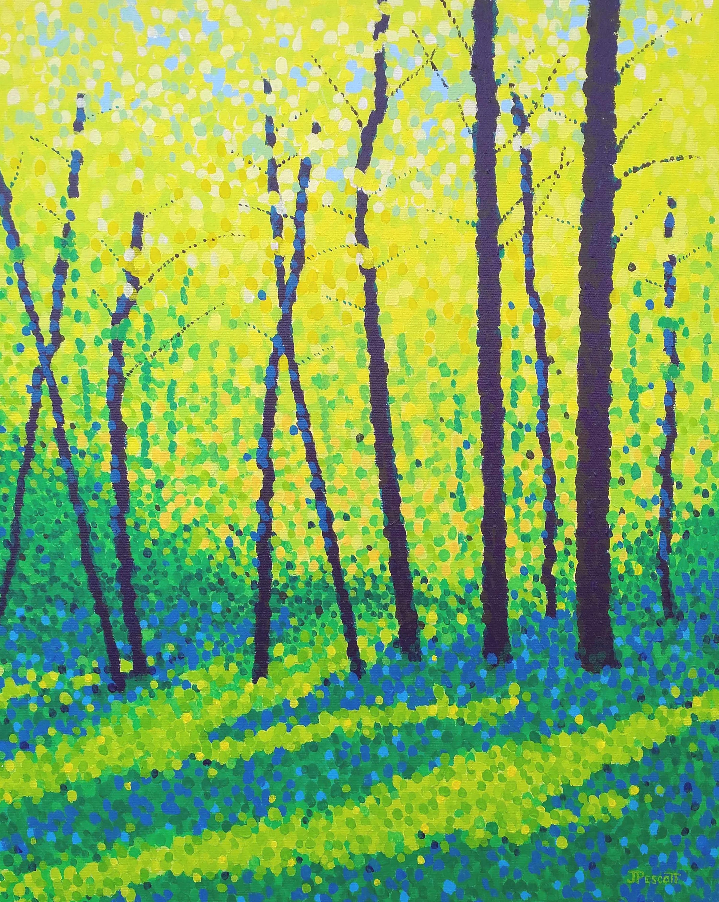 Morning sun in the woods original pmzjah