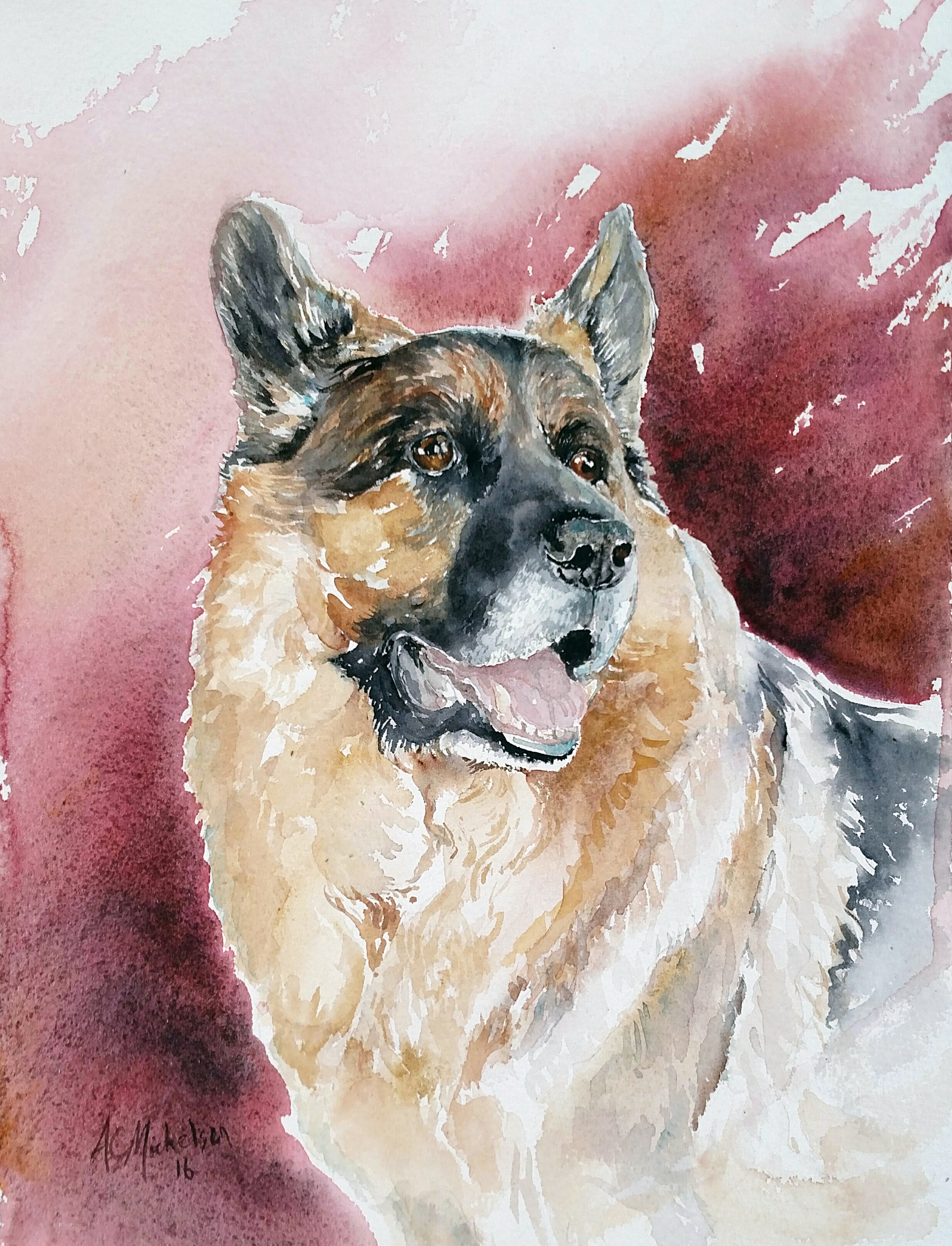 Cruiser dog portrait vjokoo