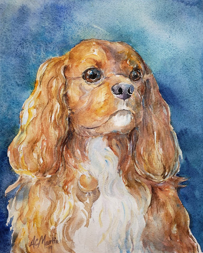 Augie dog portrait s3qtny