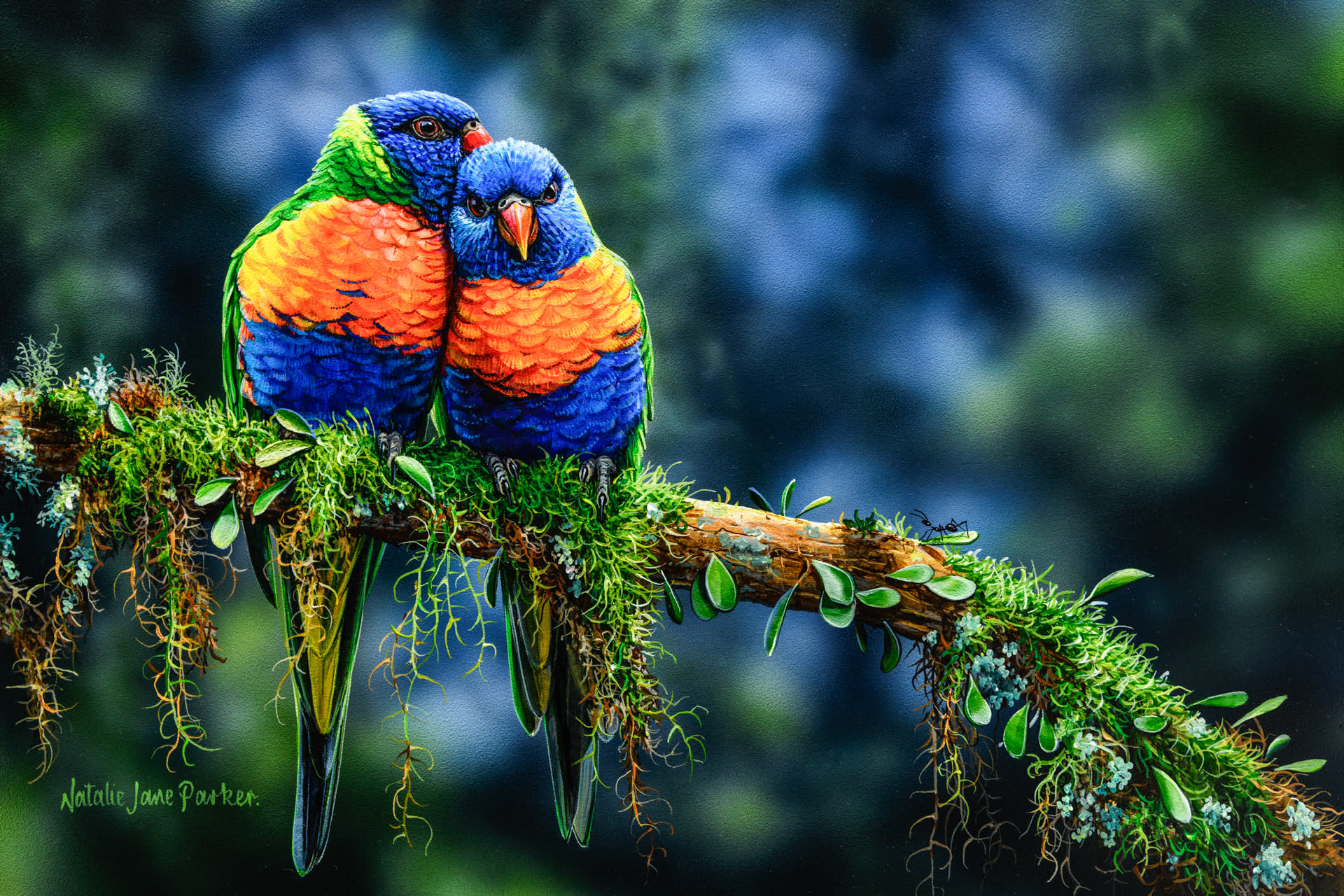 Winter Sun Rainbow Lorikeet Acrylic On Clayboard Painting