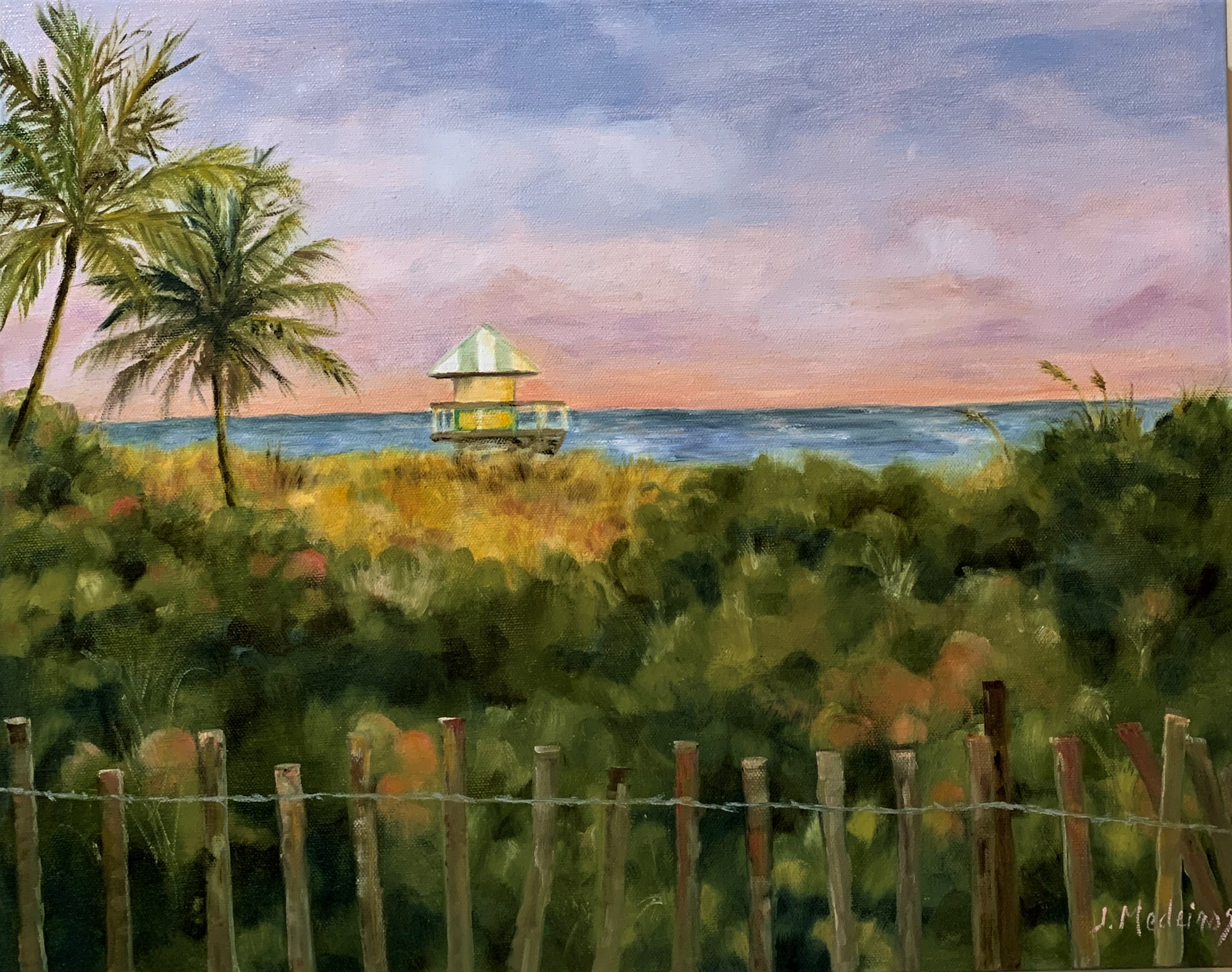 Dusk on delray beach ls1la9