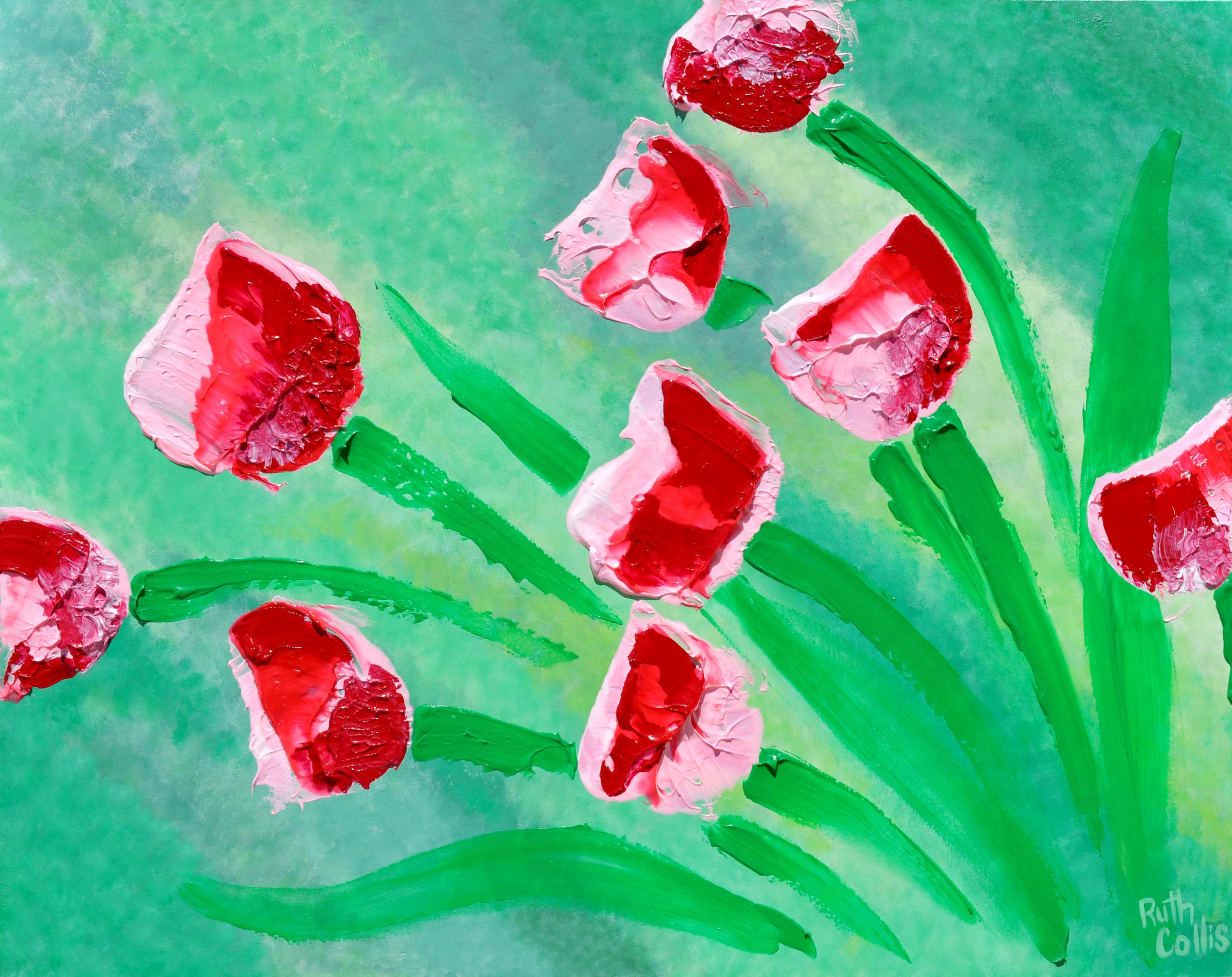 Broomstick tulips fkrzpj
