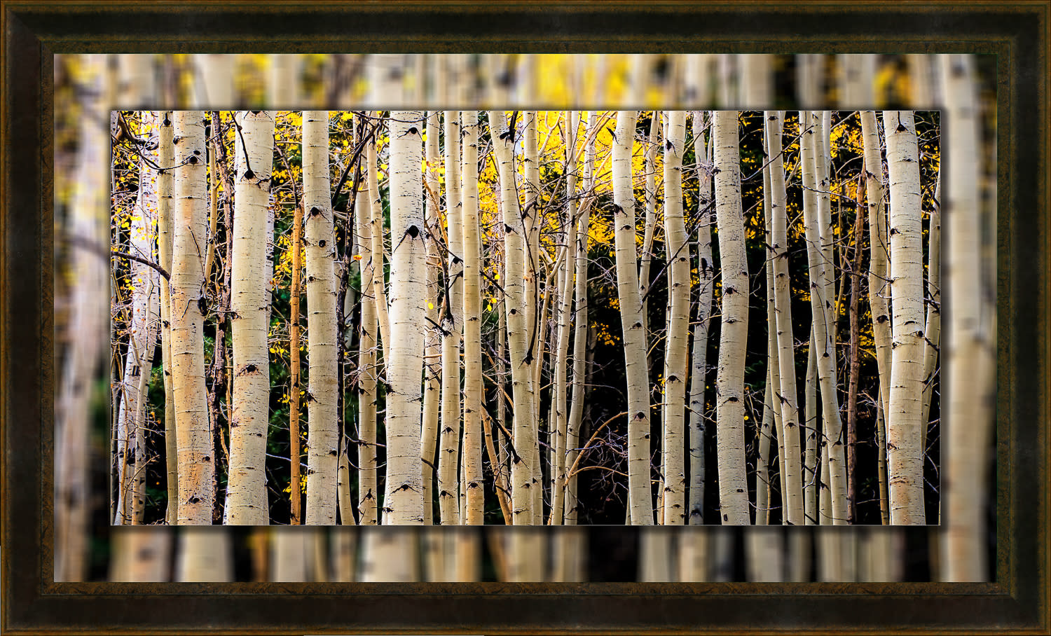 Aspen trunks 20x40 to 26x46 leather lowzbo