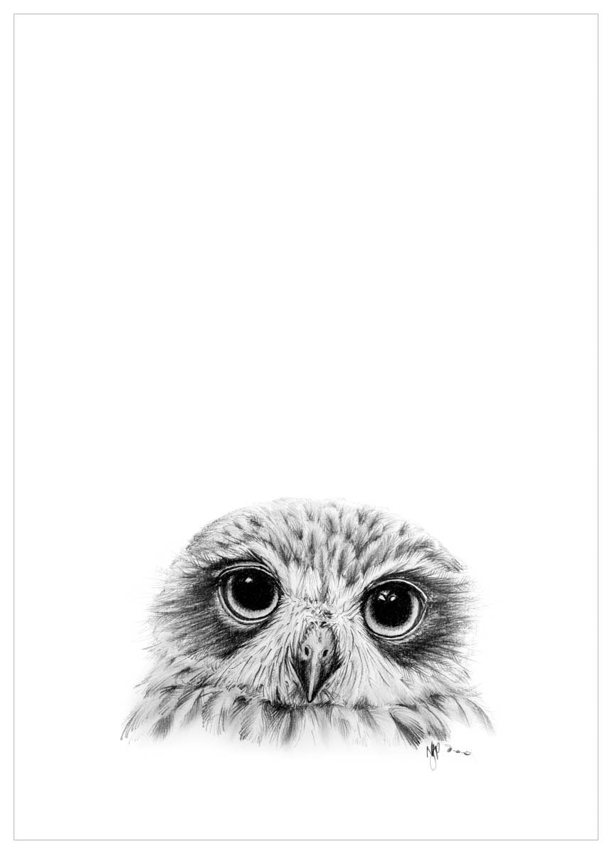 Owl eye (the devil is in the detail) – watercolours by rachel