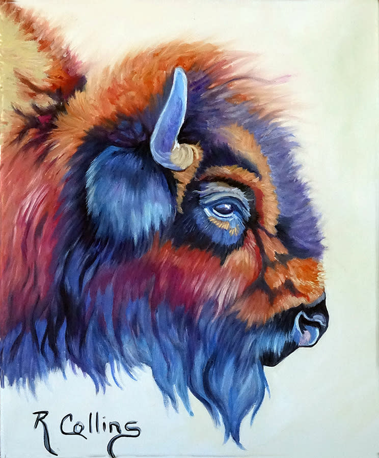 American buffalo the bison fb j9yj1b