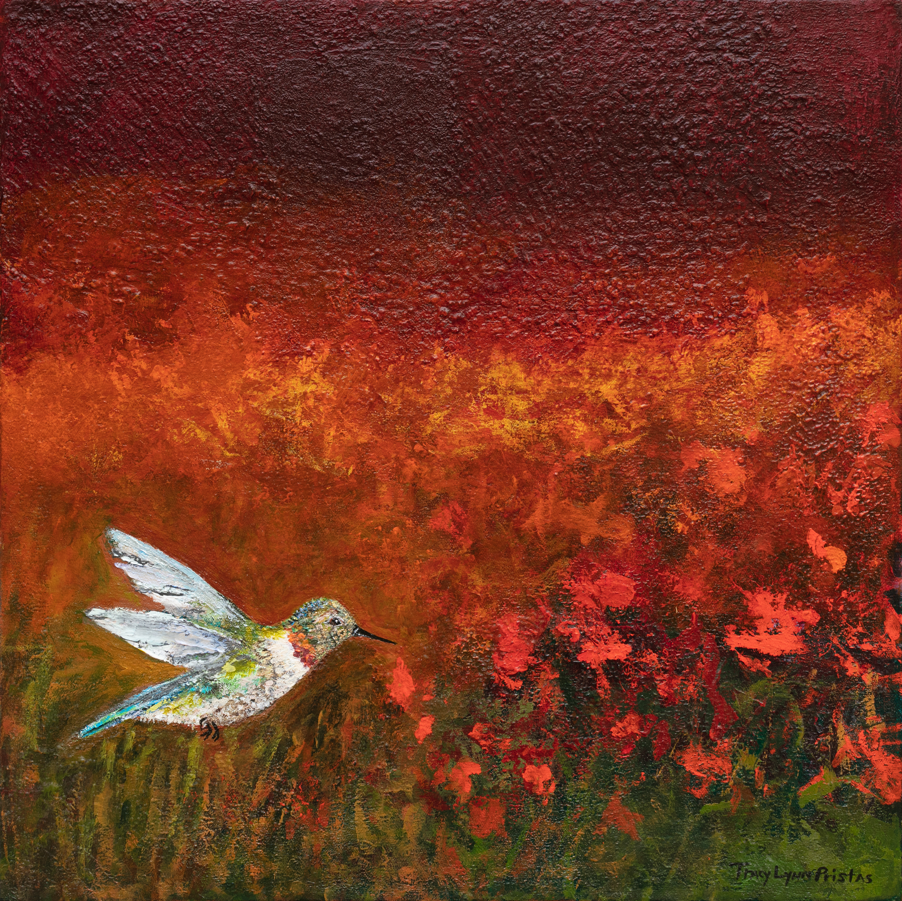 Tracy lynn pristas hope feathers red hummingbird paintings kfxqar