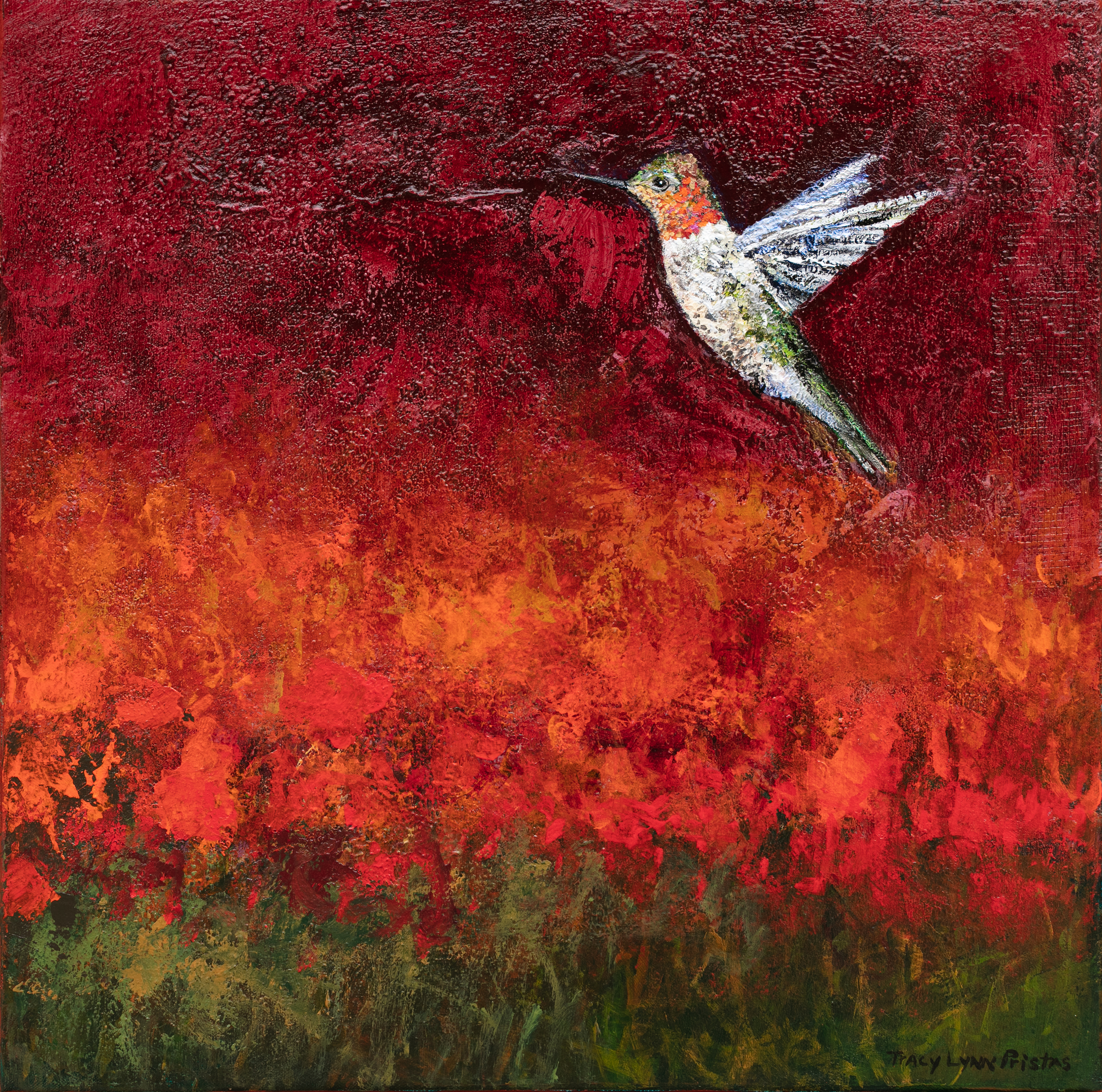 Red hummingbird paintings tracy lynn pristas hope feathers jpg nhbg7b