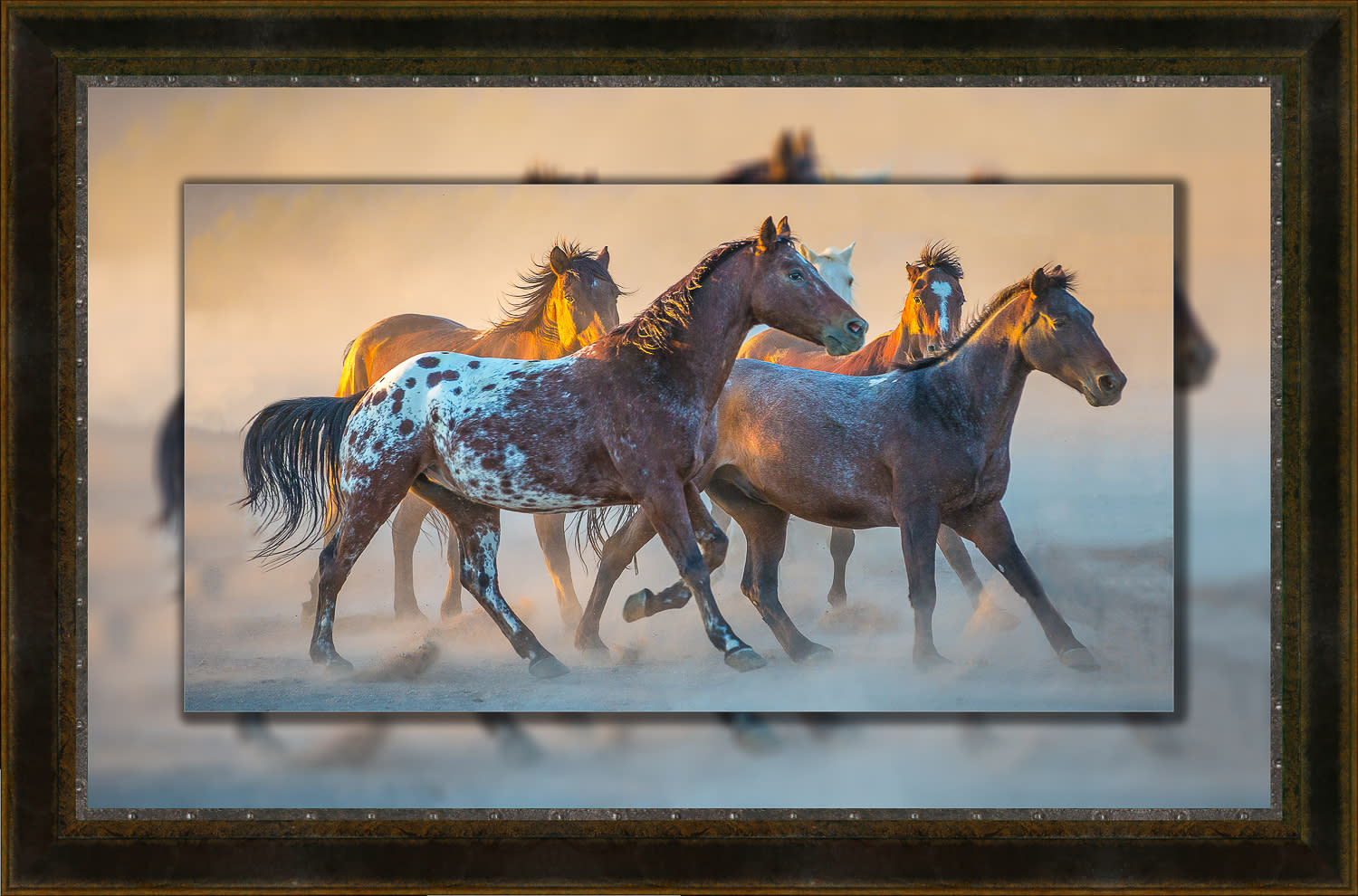 App 16x30 to 22x36 leather rivets lpixfp