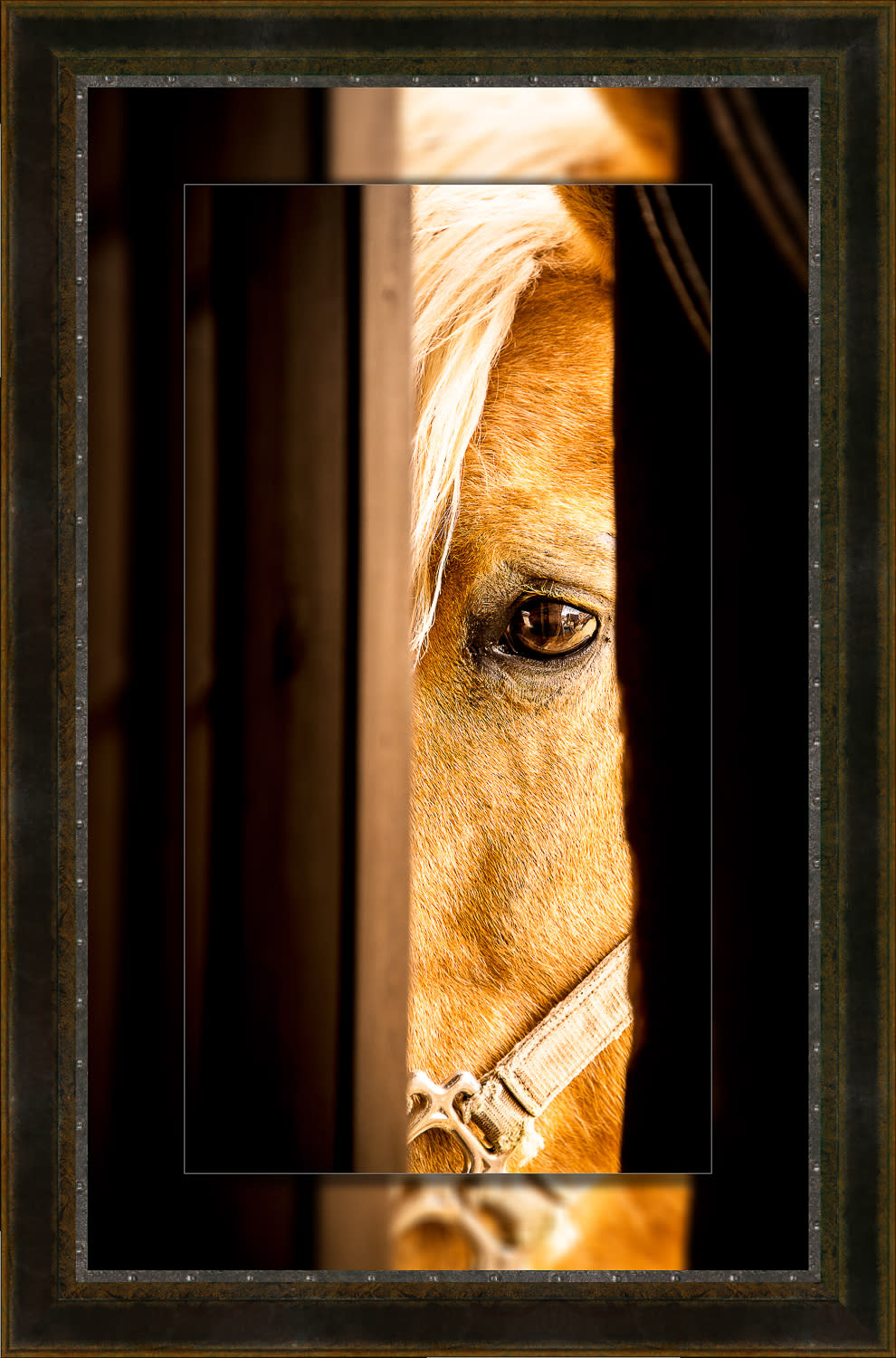 Peek 16x30 to 22x36 leather rivets slfa0j