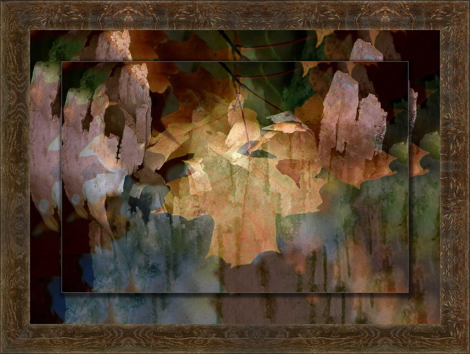 Abstract 20x30 to 26x36 axel scoop uexybf