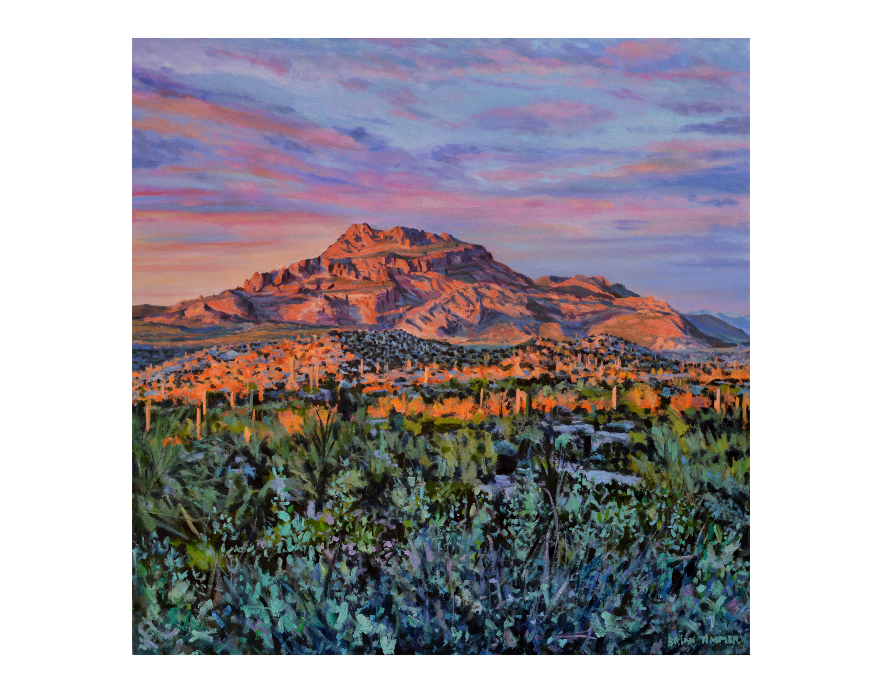 Red Mountain Art Timmer Gallery Brian Timmer Art