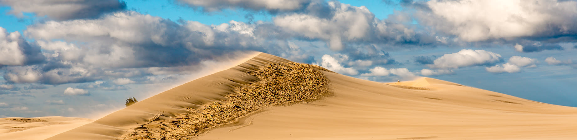 
        <div class='title'>
          Great Dunes 1 web
        </div>
       