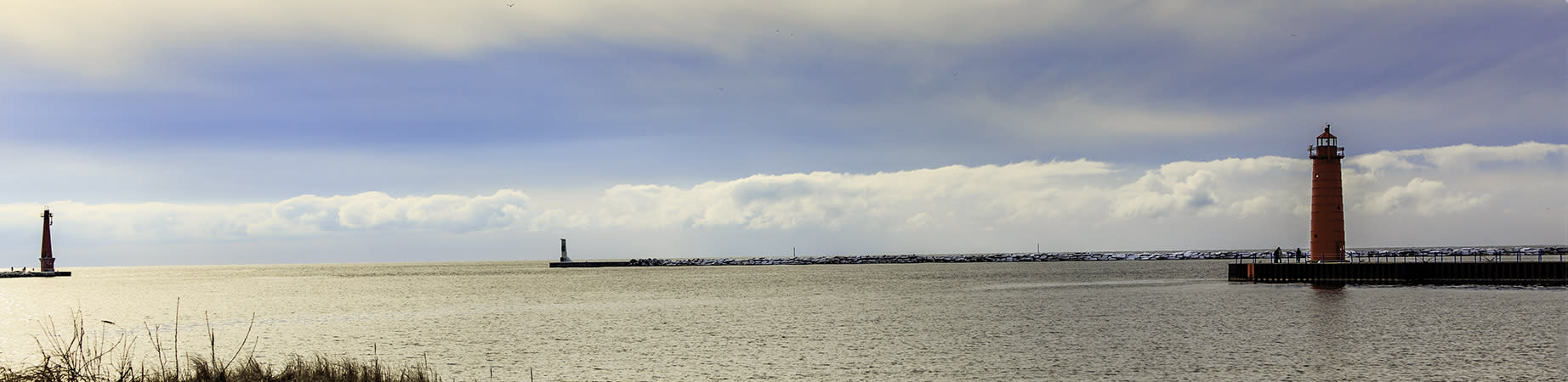 
        <div class='title'>
          MuskLightHouse 7484 web
        </div>
       