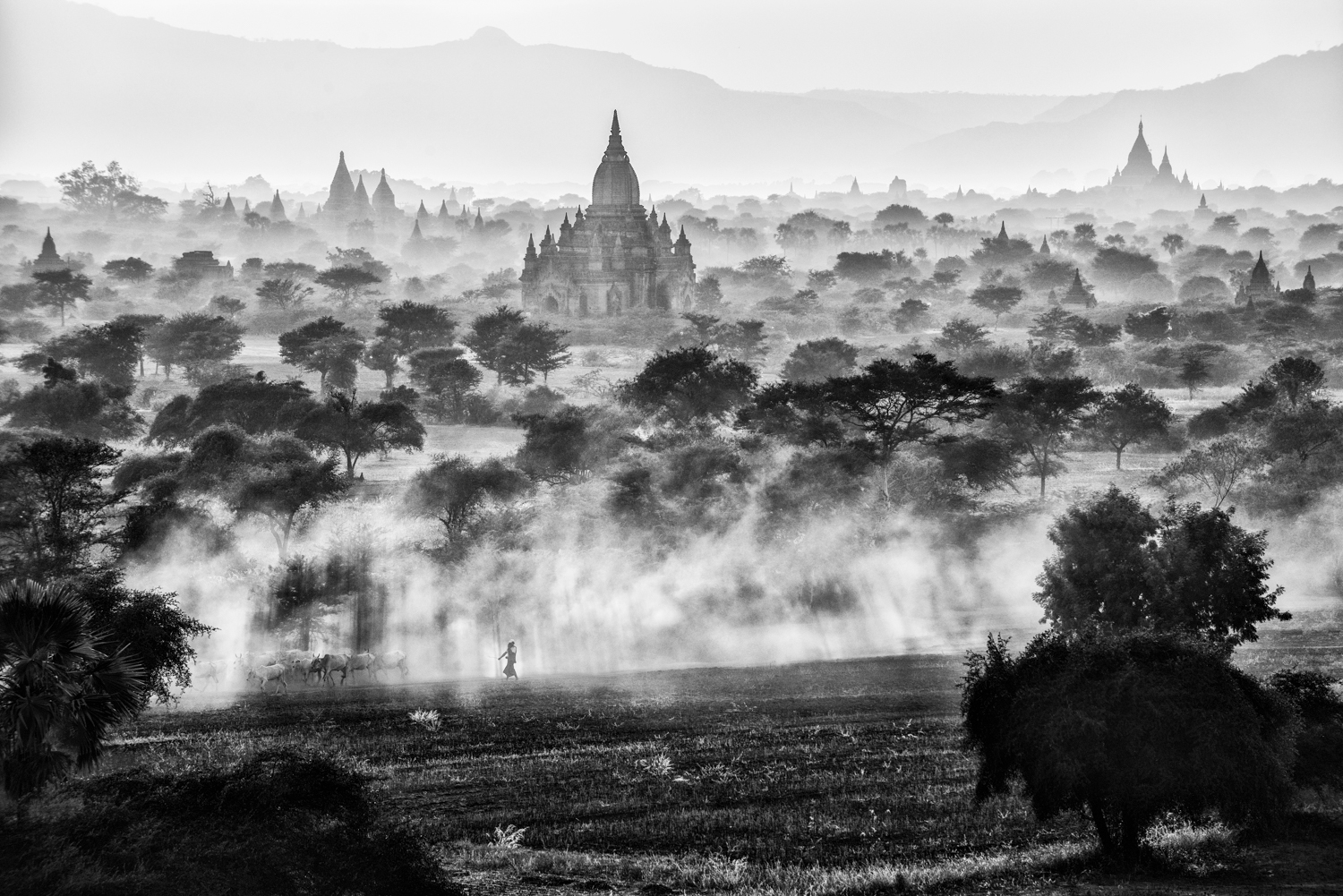 Bagan le ryfsek