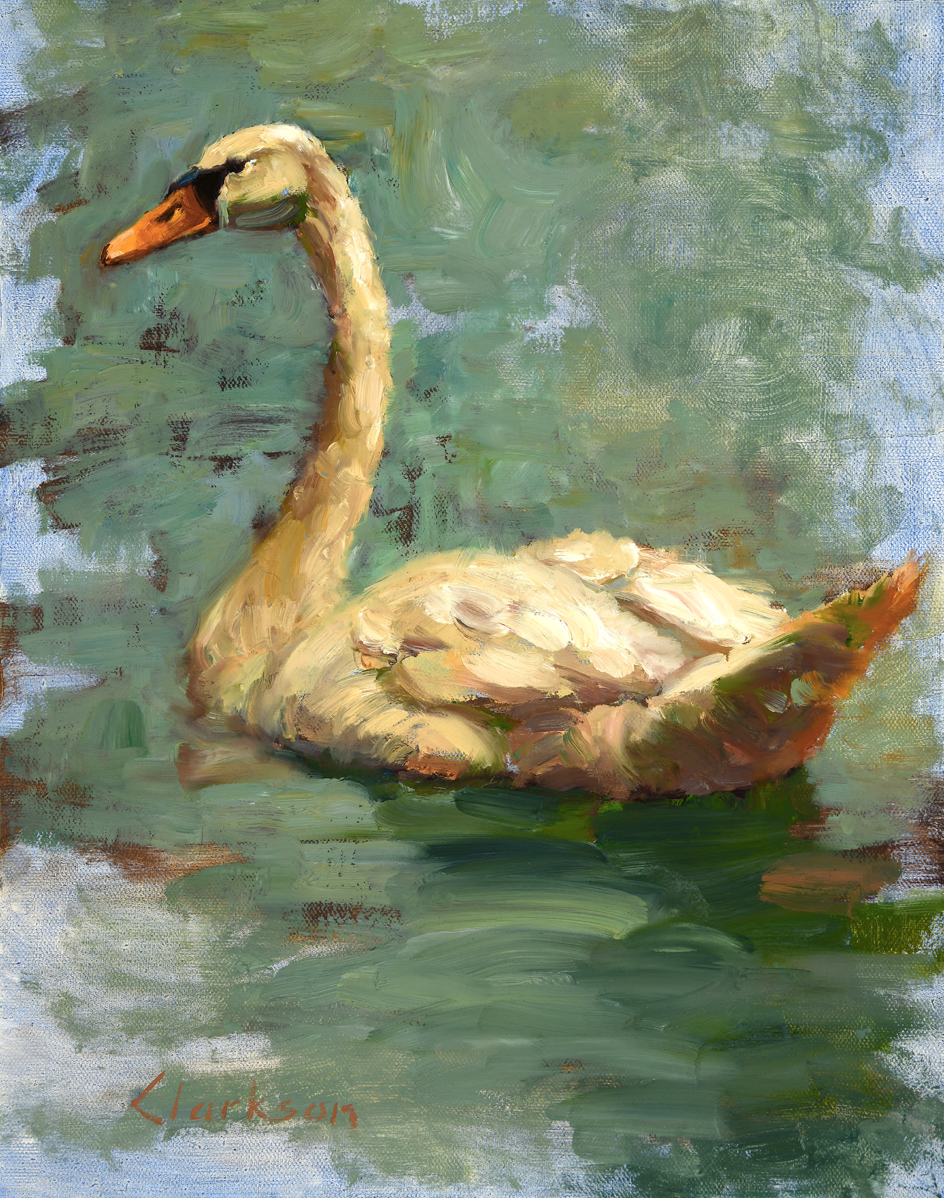 Mute swan 150 ppi for asf bi4t2u