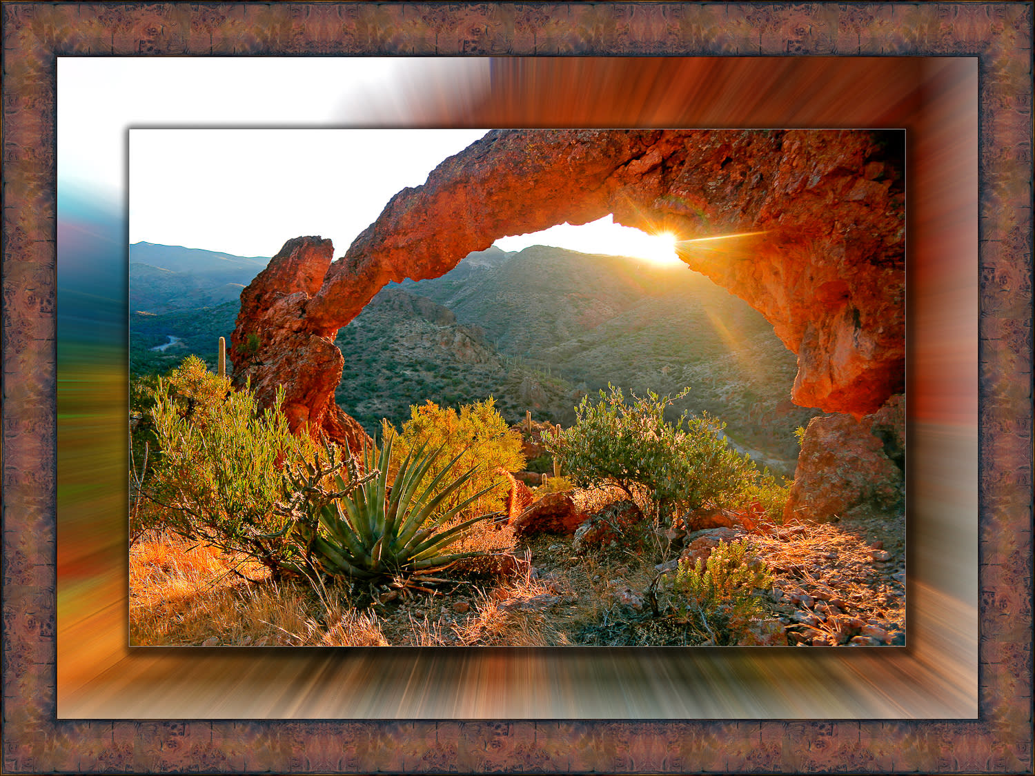 Arch 20x30 to 26x36 antica cqxovm