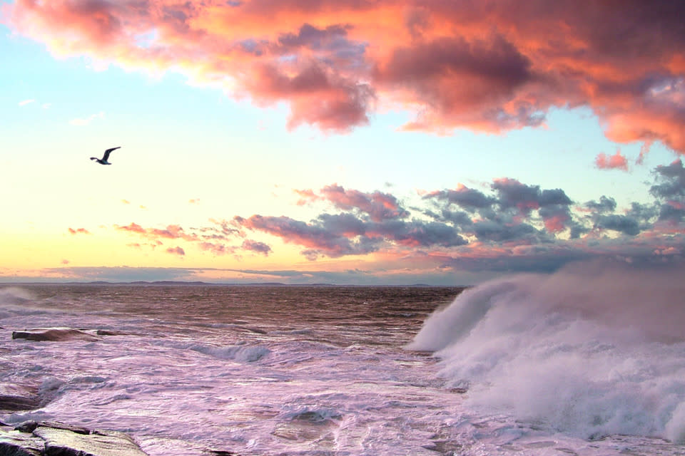 
        <div class='title'>
          big waves pink clouds gull sunset seascape fpsxa8
        </div>
       