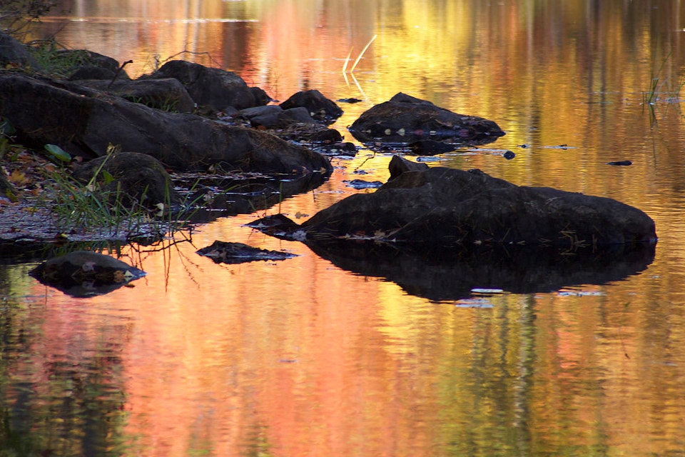 
        <div class='title'>
          fall colorful leaves foliage golden reflections
        </div>
       